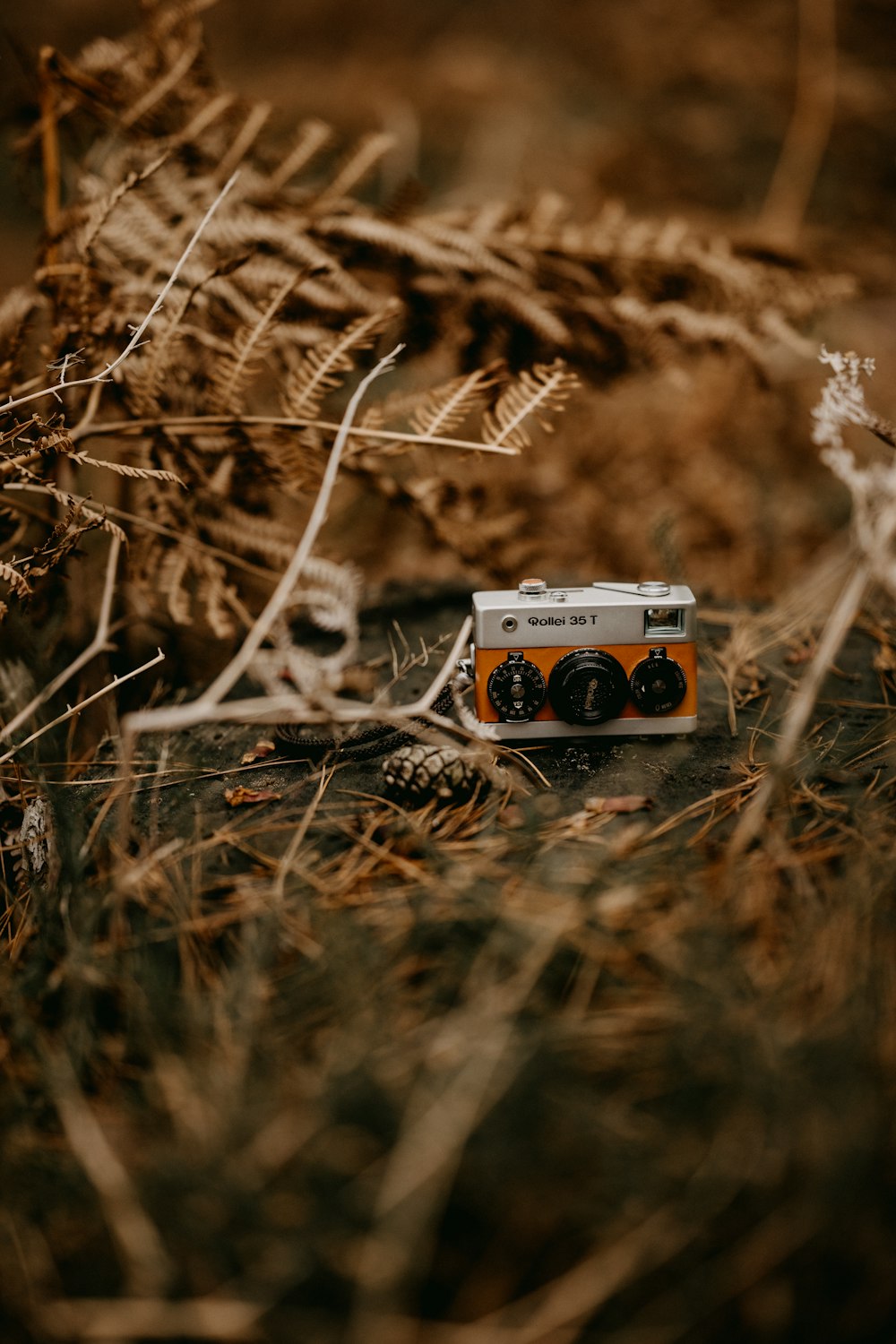 a camera sitting in the middle of a field