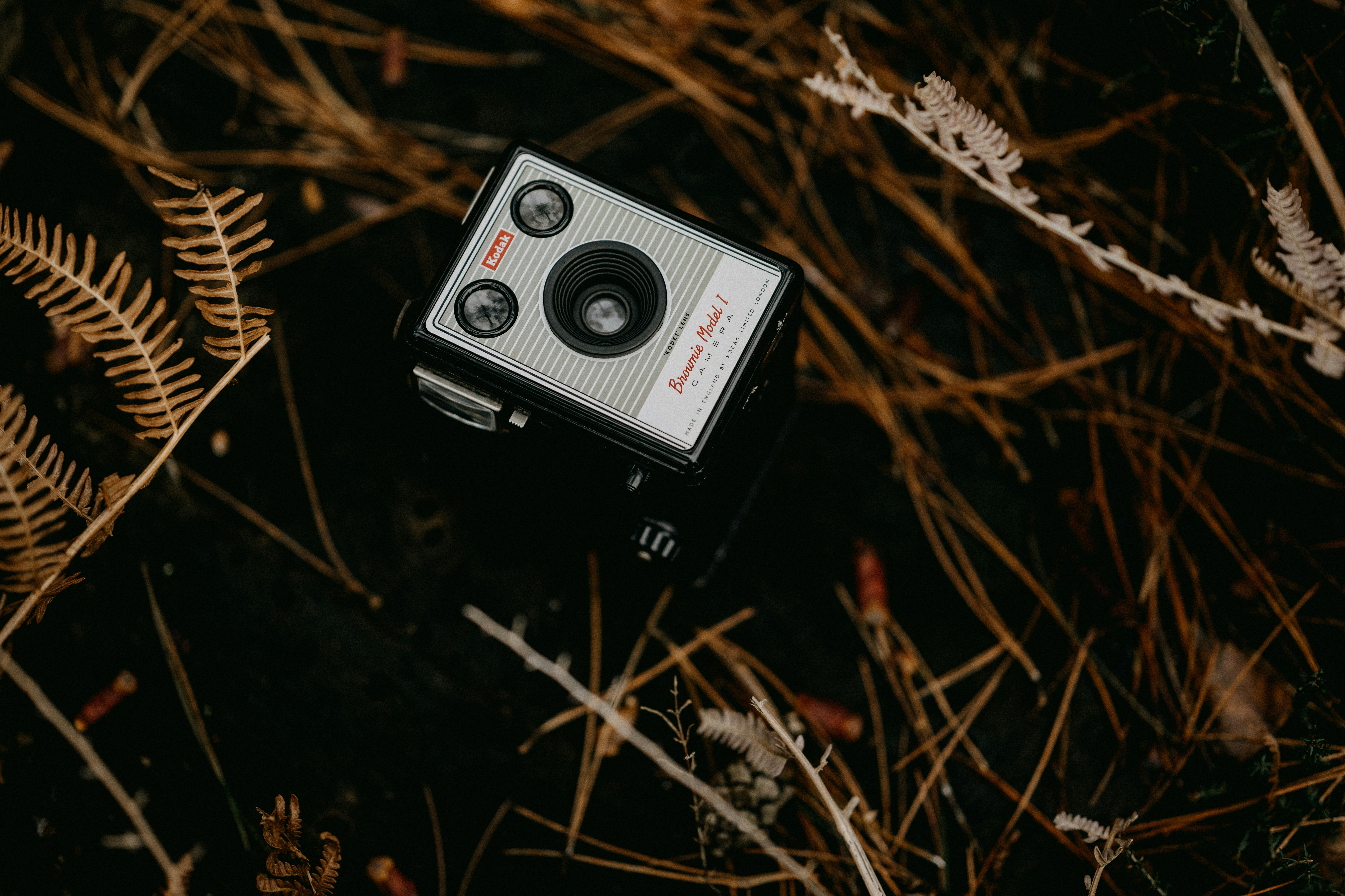 Photo by anniespratt