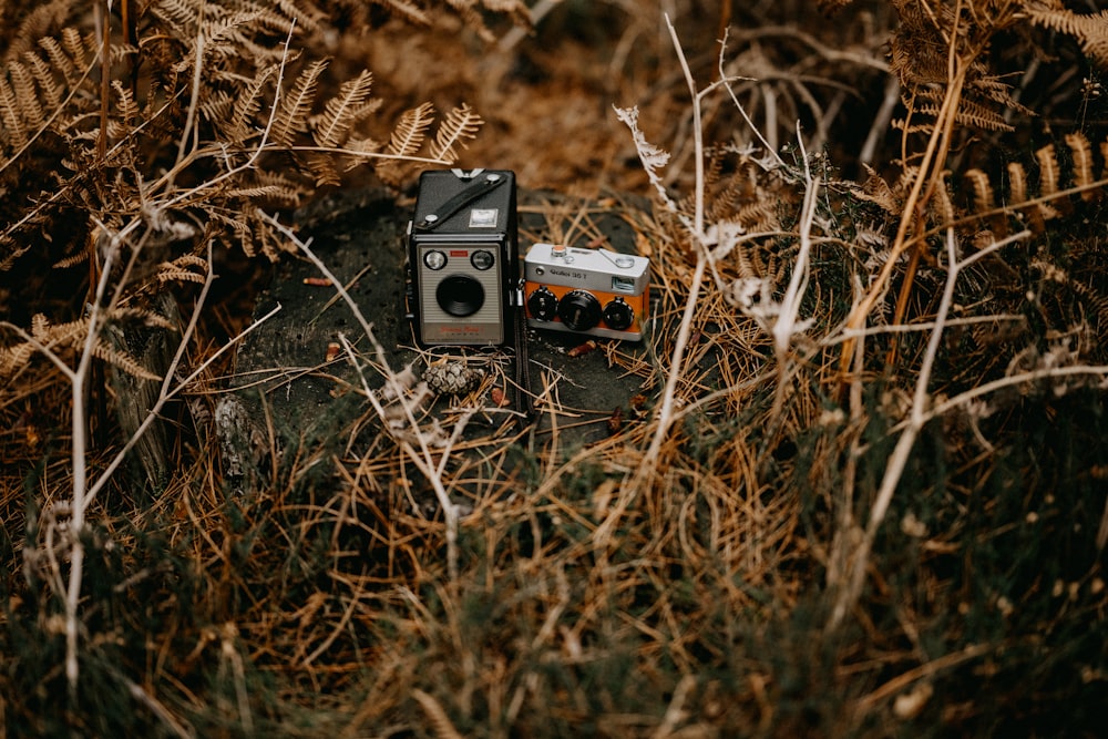 an old camera sitting on a rock in a field