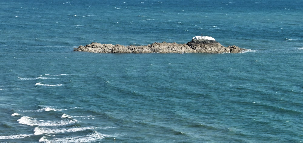 a bird sitting on a rock in the middle of the ocean