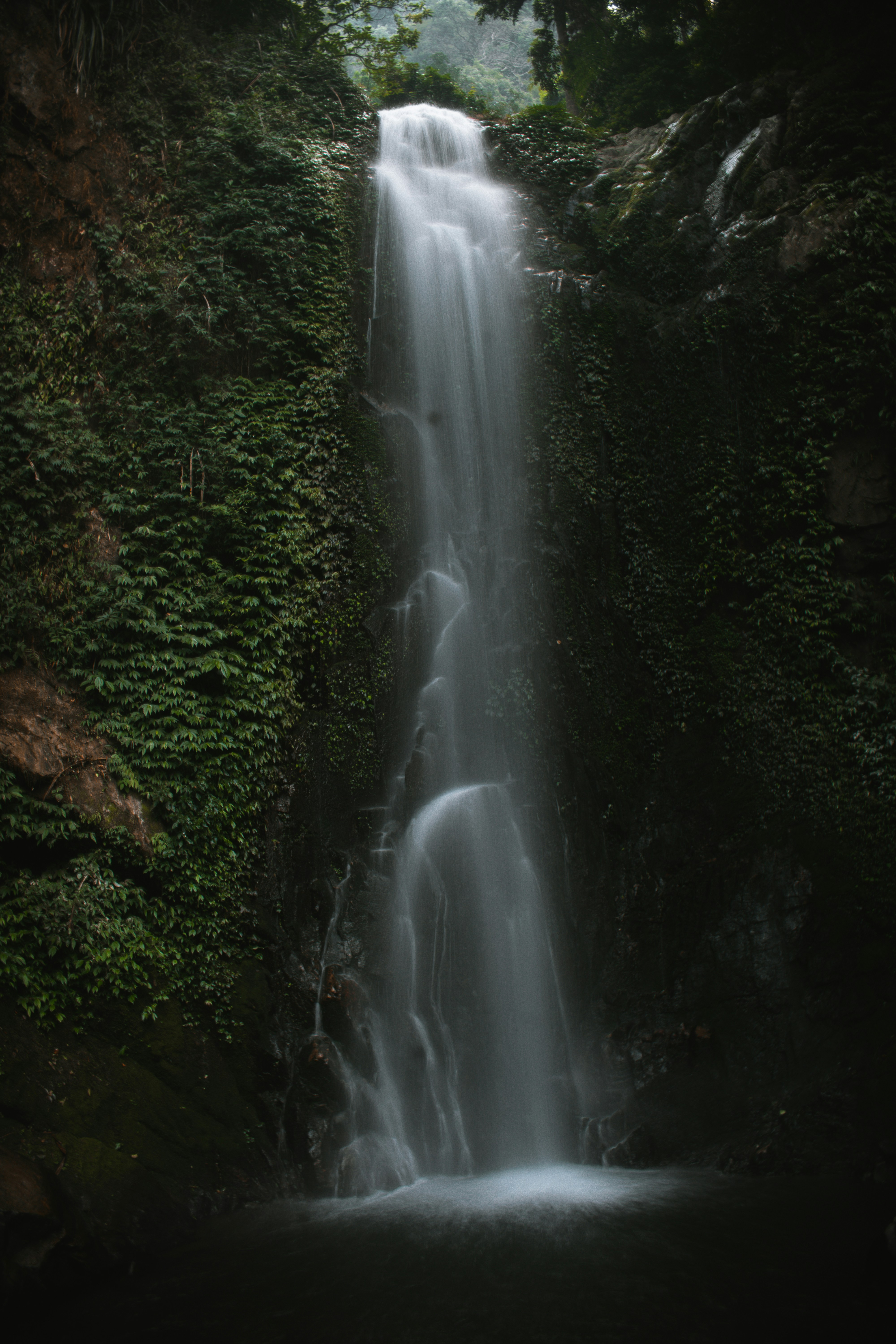 Photo by blissed_shots