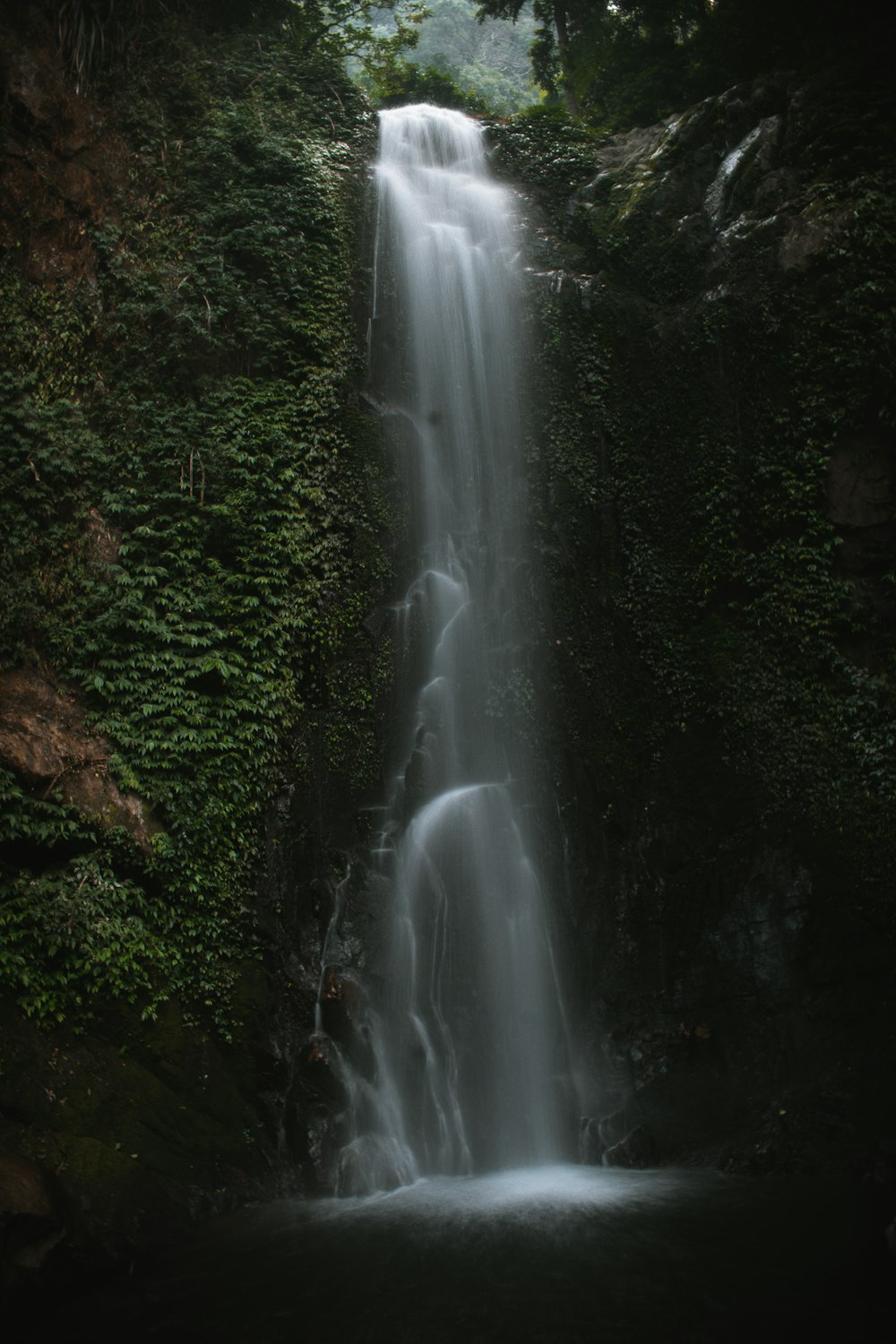 a large waterfall in the middle of a forest