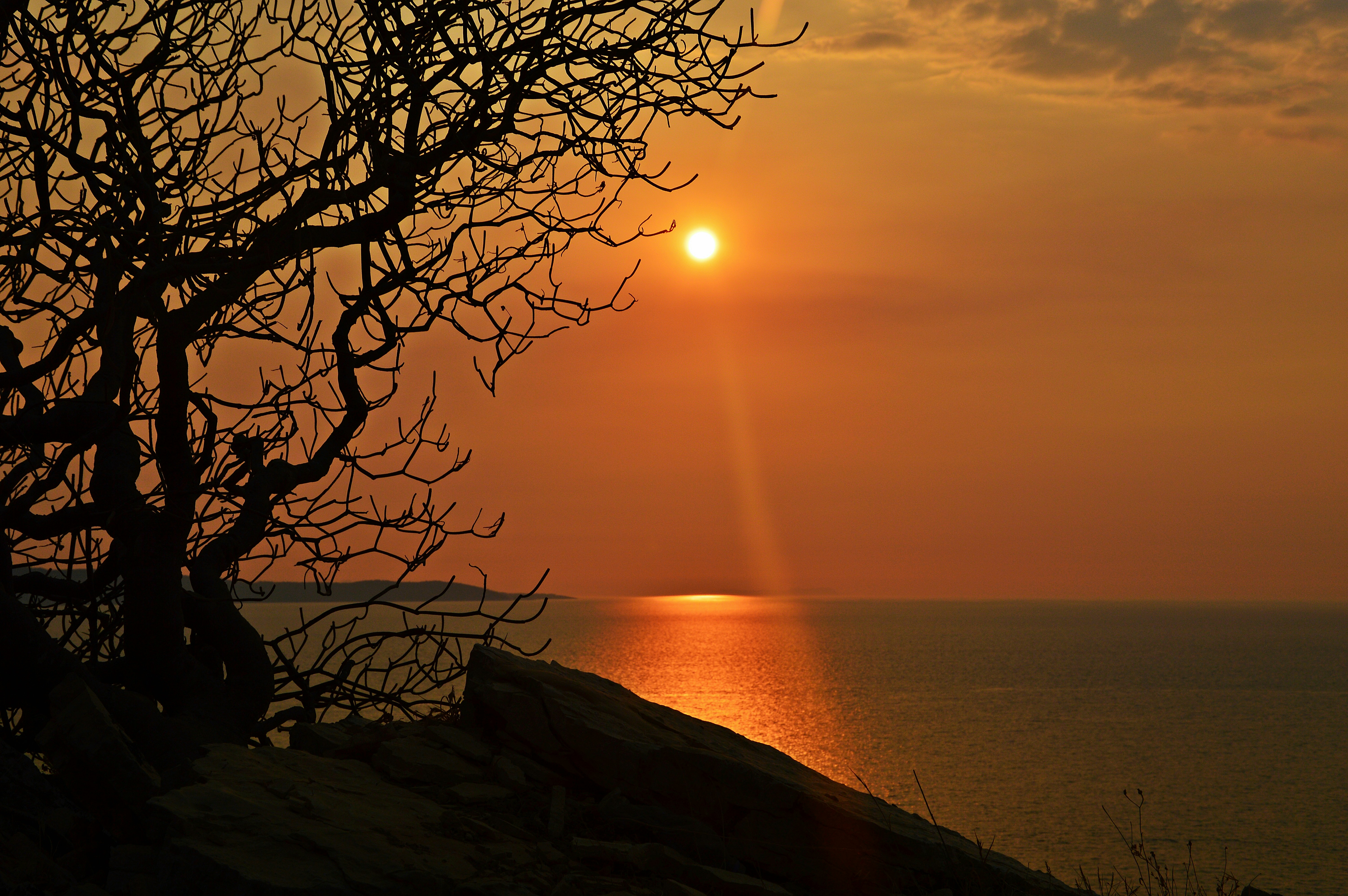 Photo by herolinda94