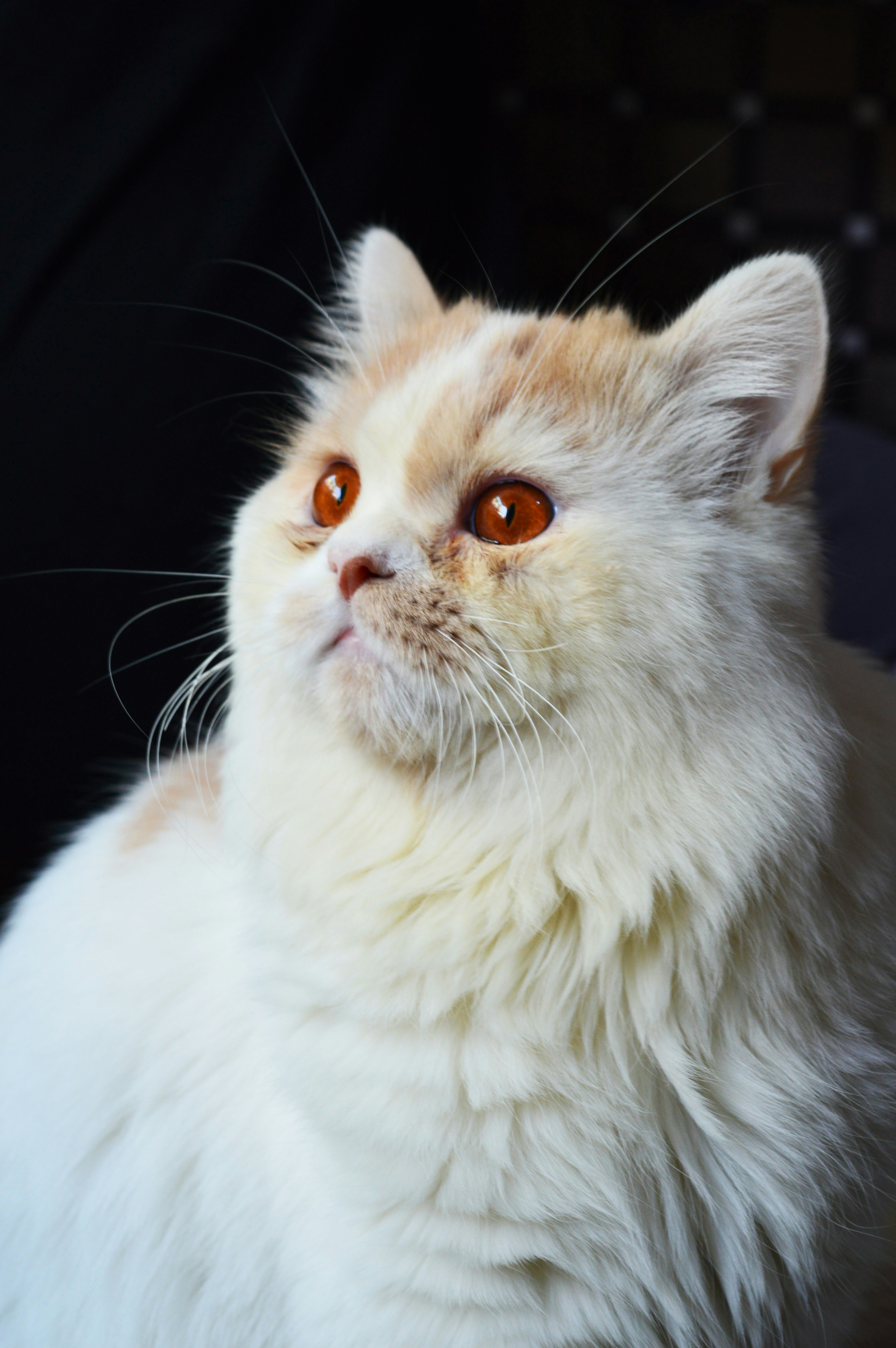 Photo by osama_waqar