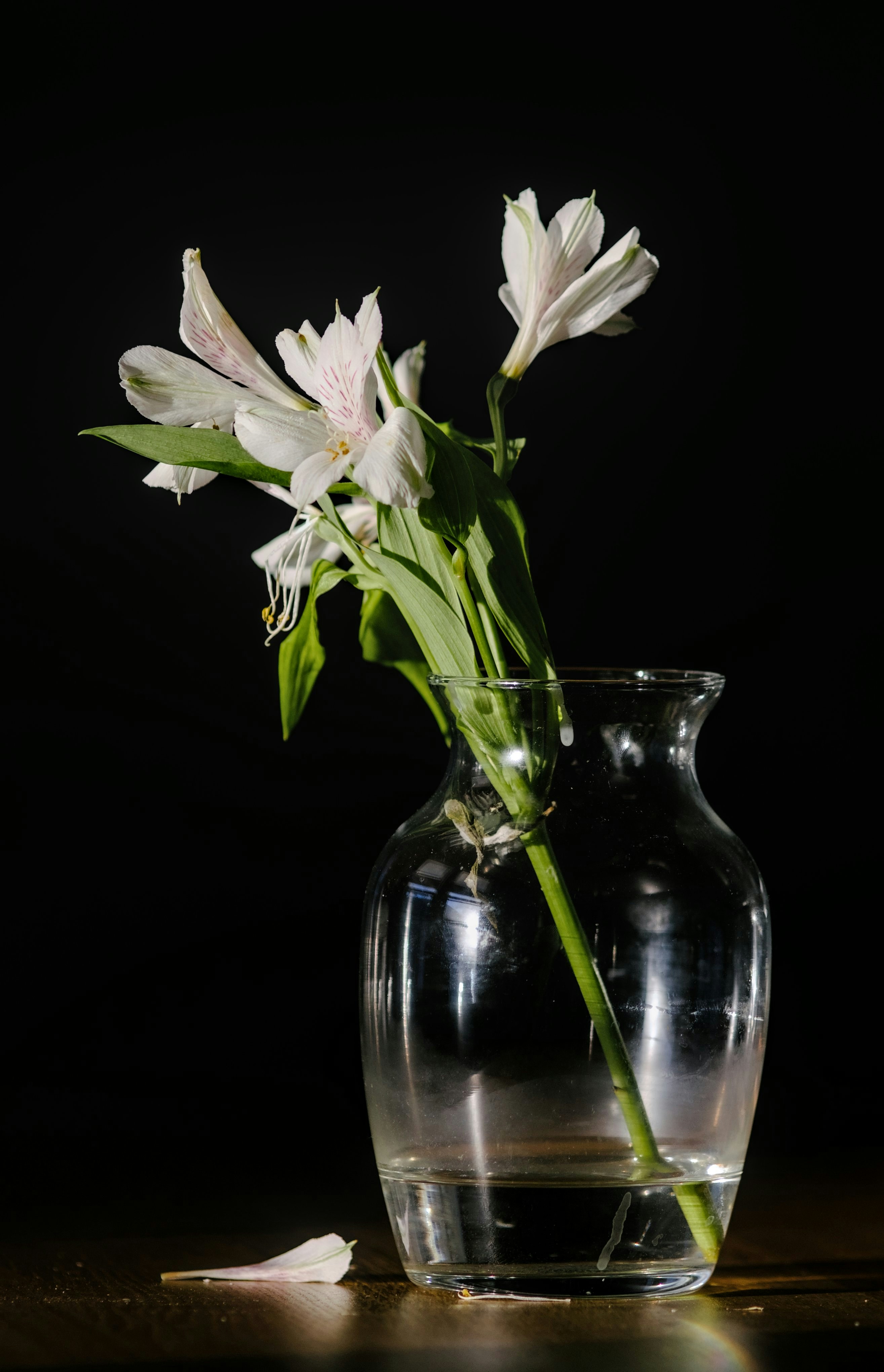 Photo by btcarpenter