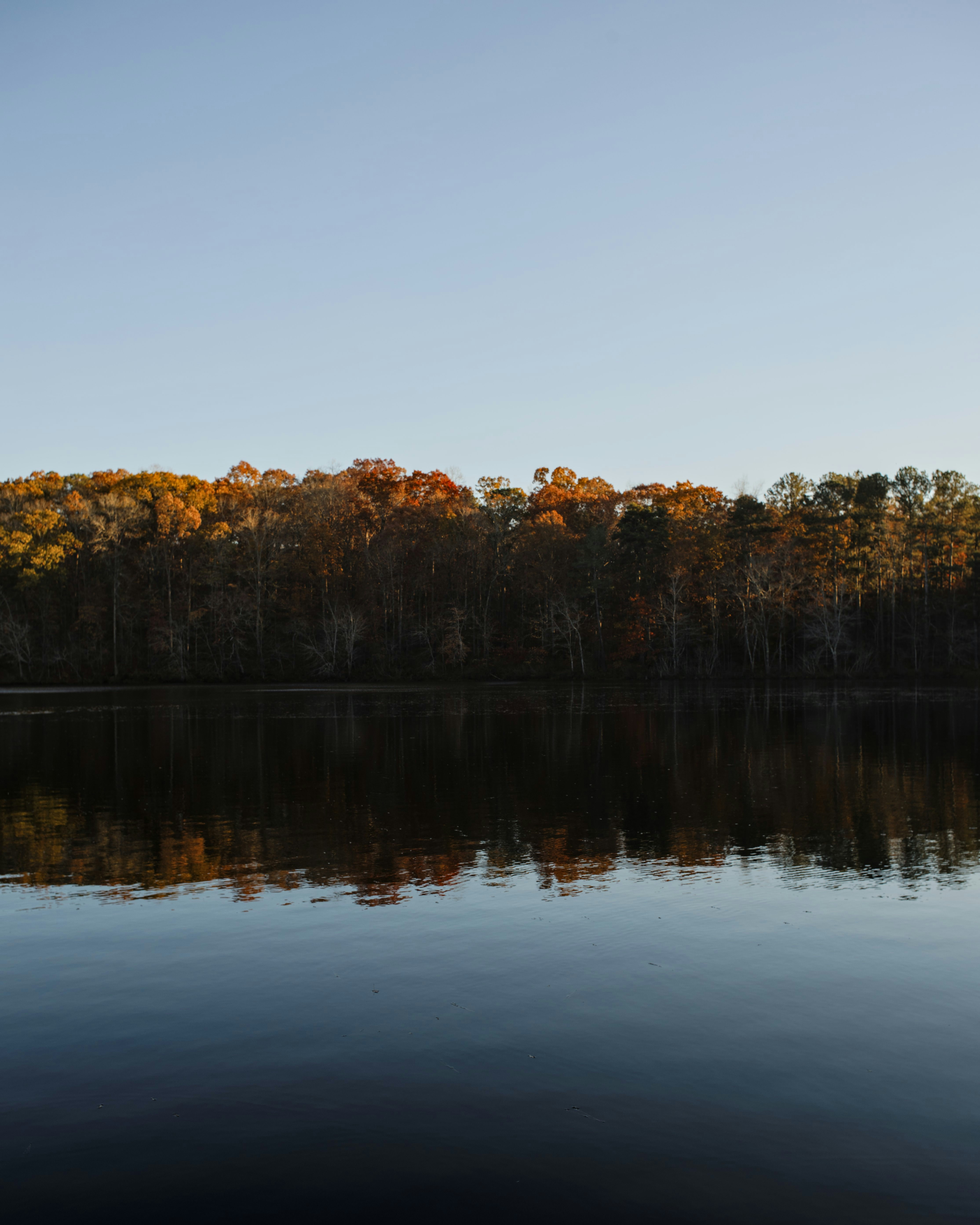 Photo by btcarpenter