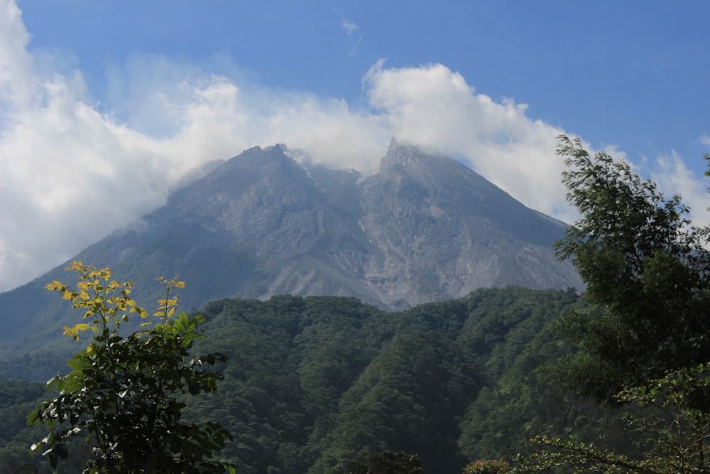 a view of a mountain with trees in the foreground