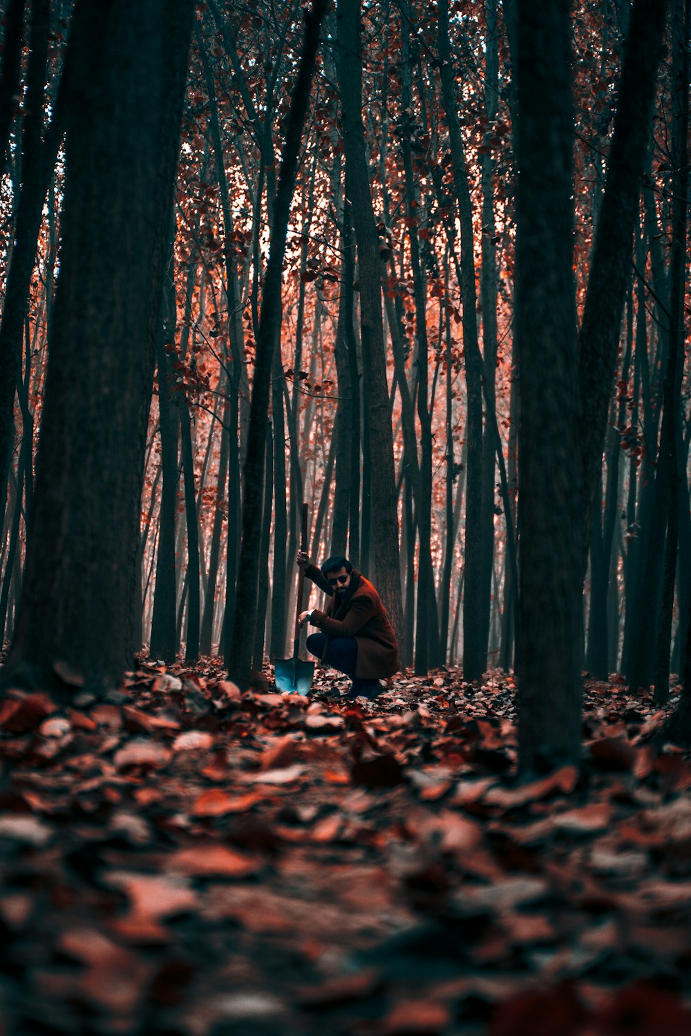 a person sitting in the middle of a forest