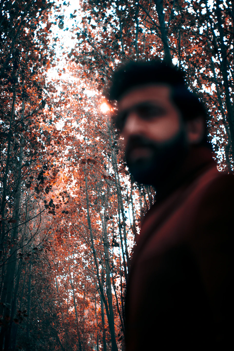 The image shows a man with a beard and mustache walking through a forest, wearing a red coat that stands out against the natural backdrop. The trees surrounding him are lush and green, their leaves rustling gently in the breeze. The perspective of the photo is taken from below, looking up at the man as he walks away from the camera, creating an interesting visual effect.