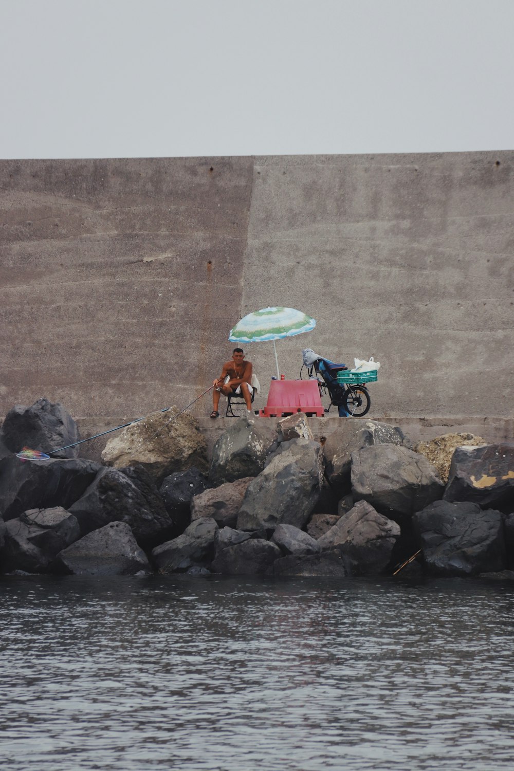 a horse standing on a rock next to a body of water