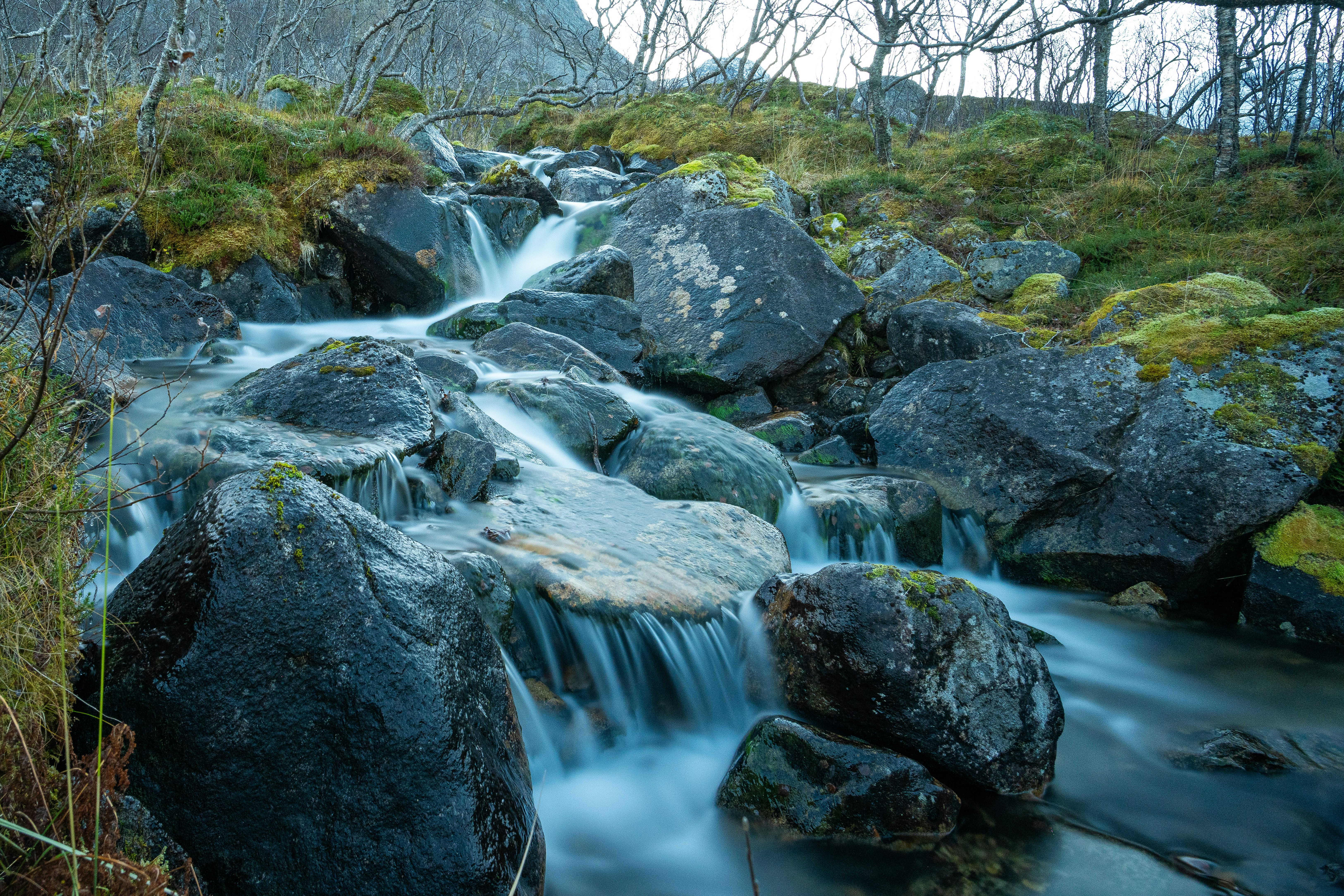 Photo by felixrottmann