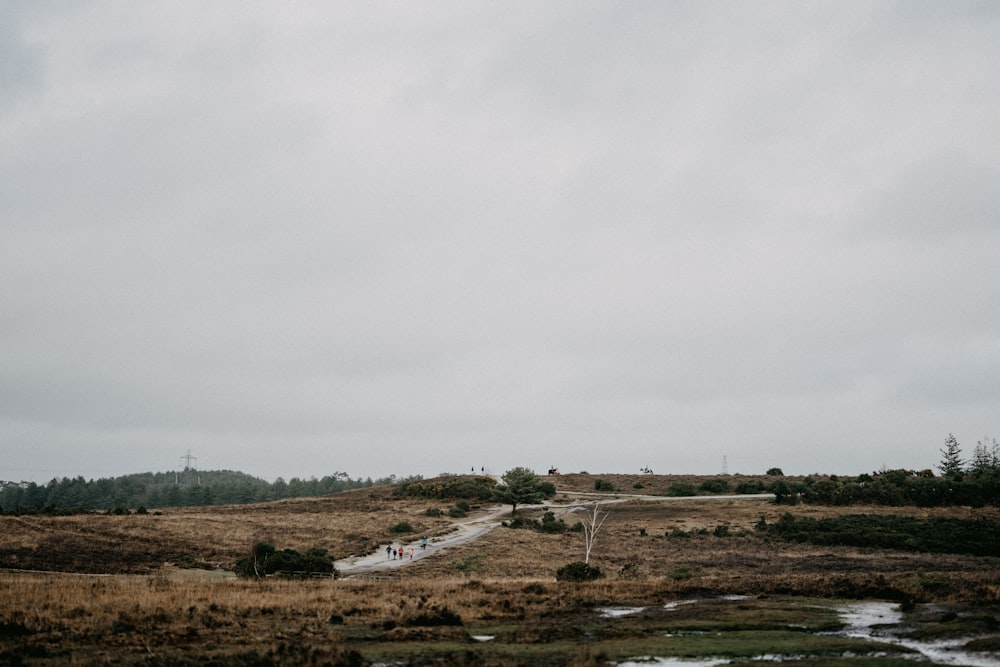 a couple of people walking across a lush green field