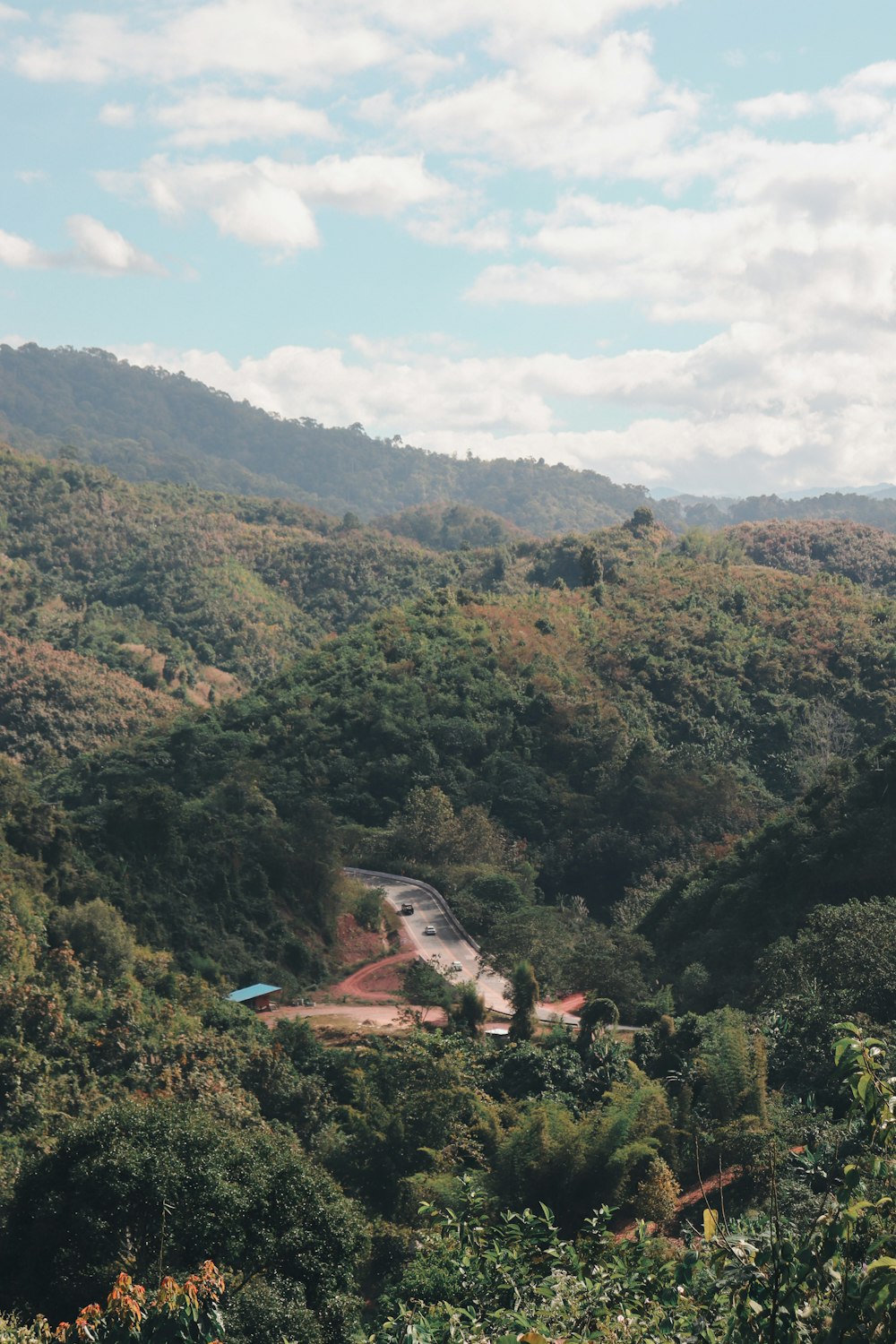 a lush green hillside covered in lots of trees