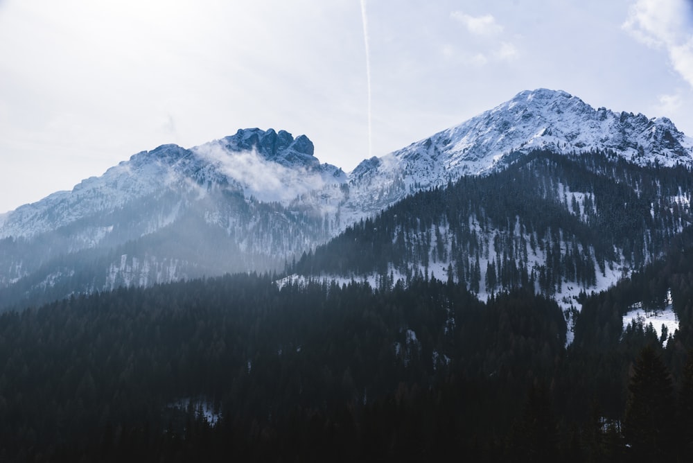 a mountain covered in snow with trees in the foreground