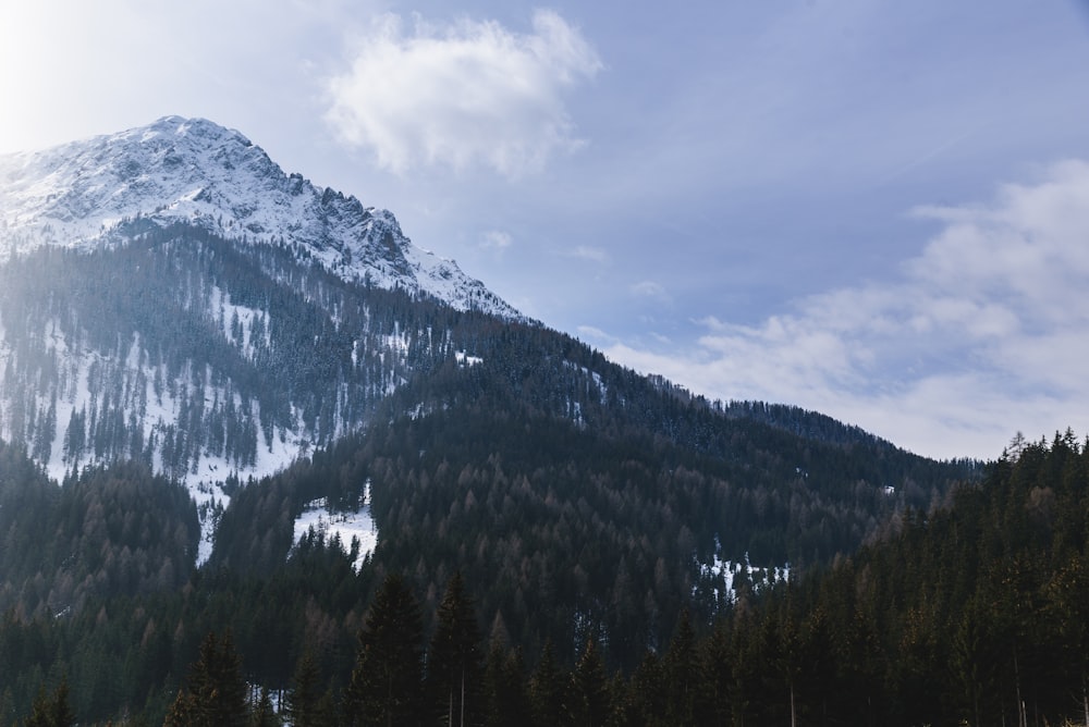 a mountain covered in snow and surrounded by trees