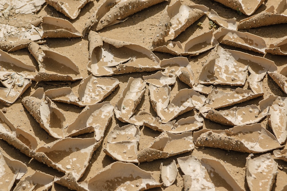 a close up of a pile of mud