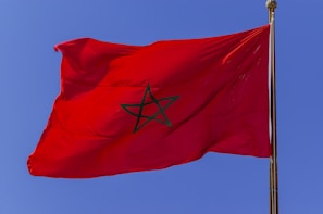 a red flag with a black star on it