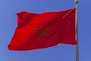 a red flag with a black star on it