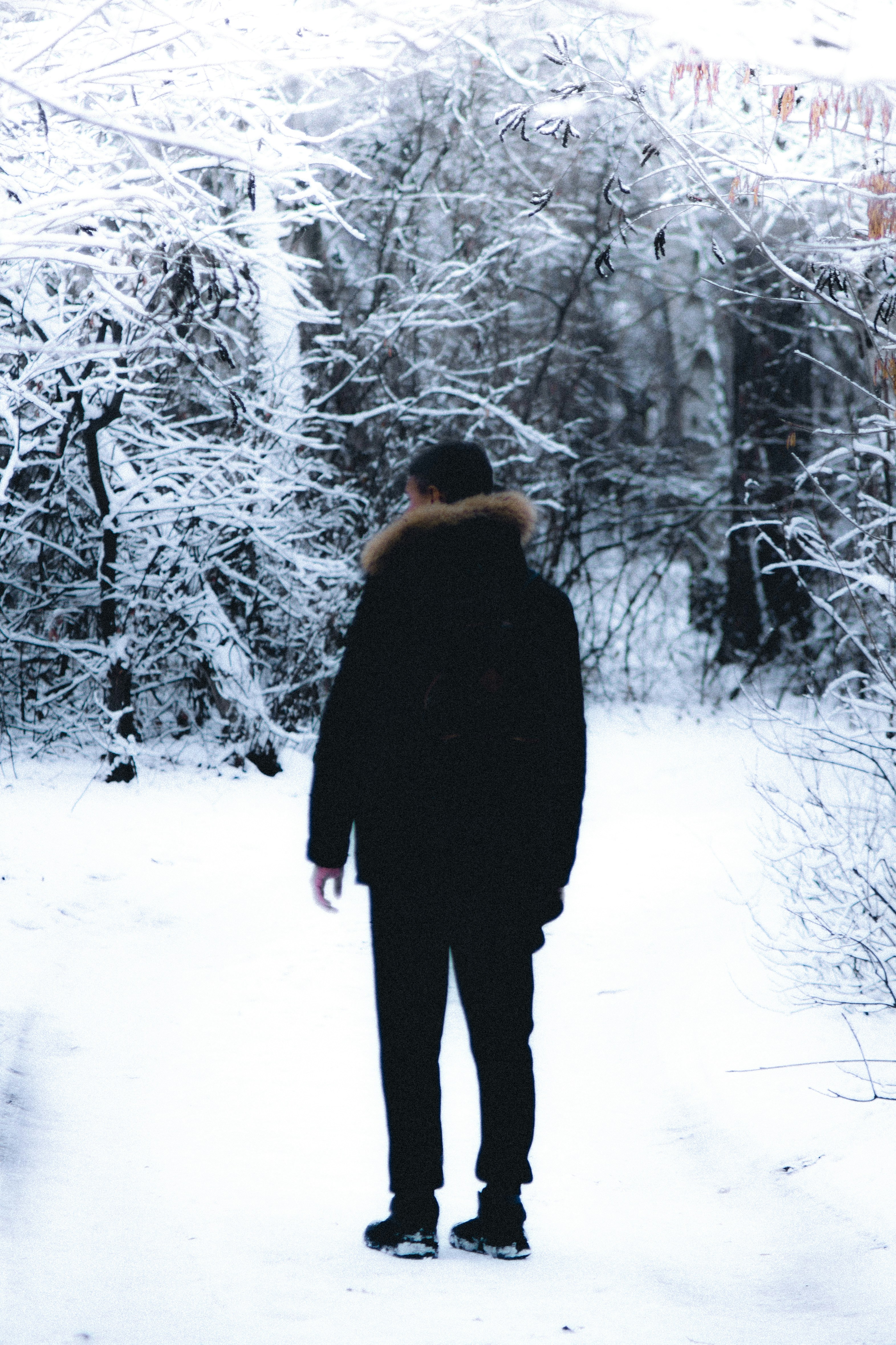 Photo by itsmaxpictures