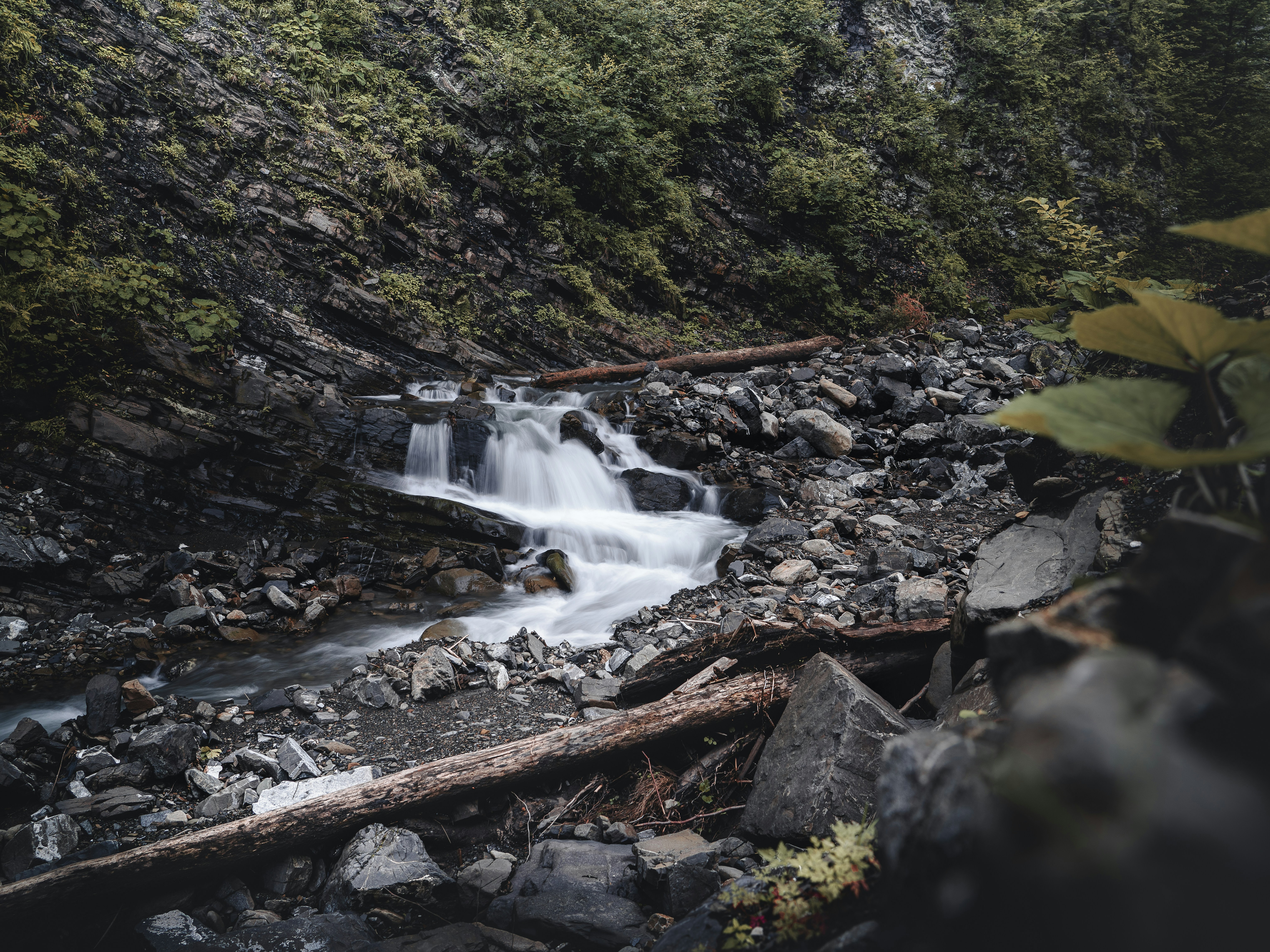 a small waterfall in the middle of a forest