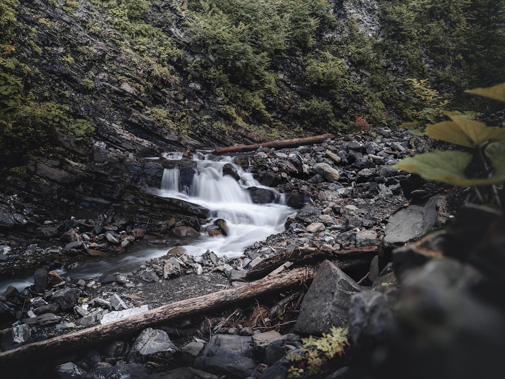 uma pequena cachoeira no meio de uma floresta