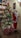 A beautifully decorated Christmas tree adorned with sparkling lights, red and gold ornaments, and red poinsettia flowers stands next to a life-sized Santa Claus figure holding a gift. A stack of wrapped presents lies at the base of the tree. The background features a wall with a framed picture and antlers, and a yellow shelf holding various items like cups and containers.