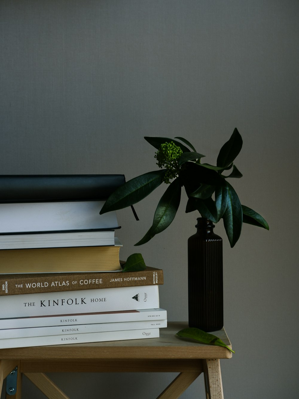 a vase with a plant on top of a table