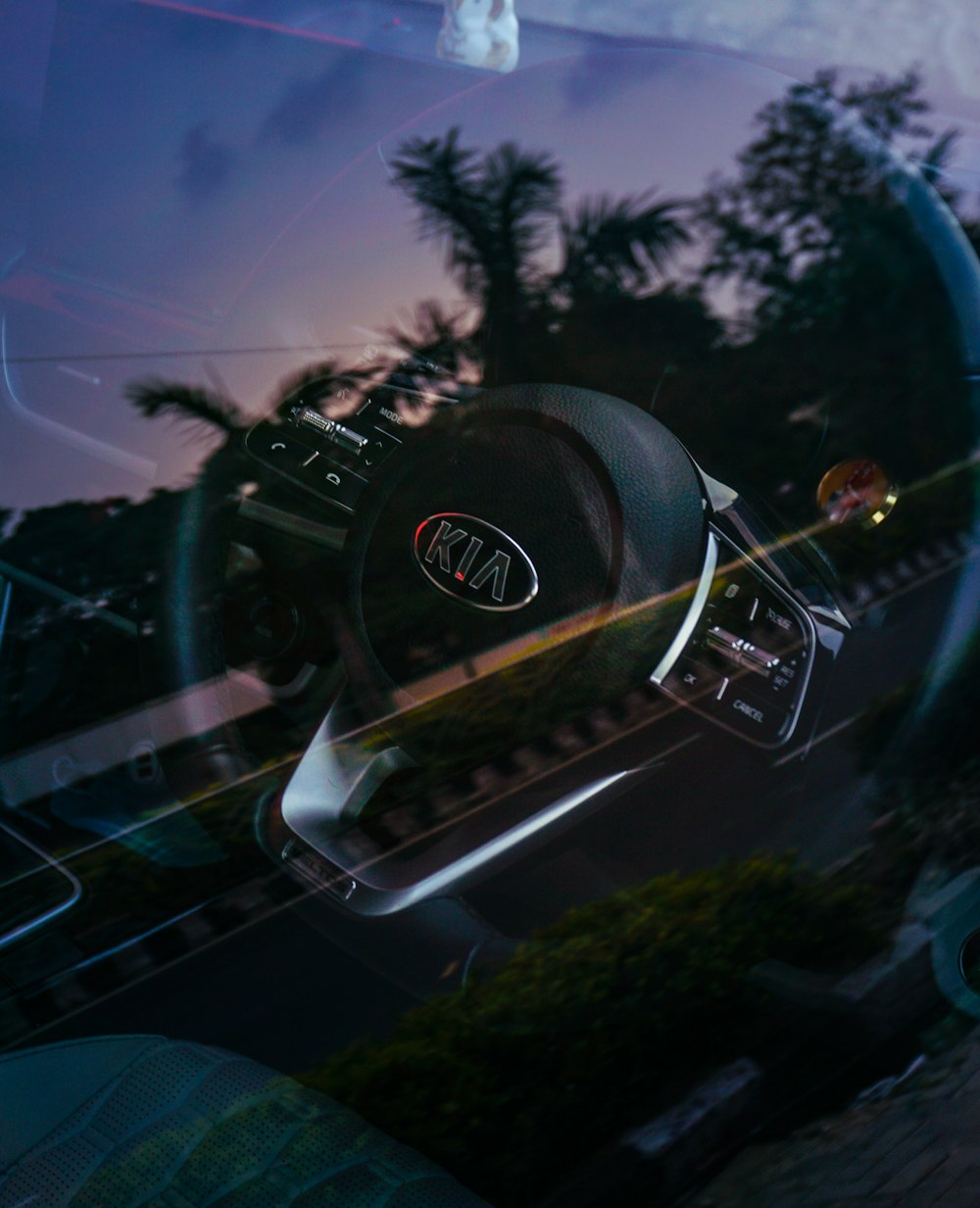 a steering wheel of a car with the sun shining through the window