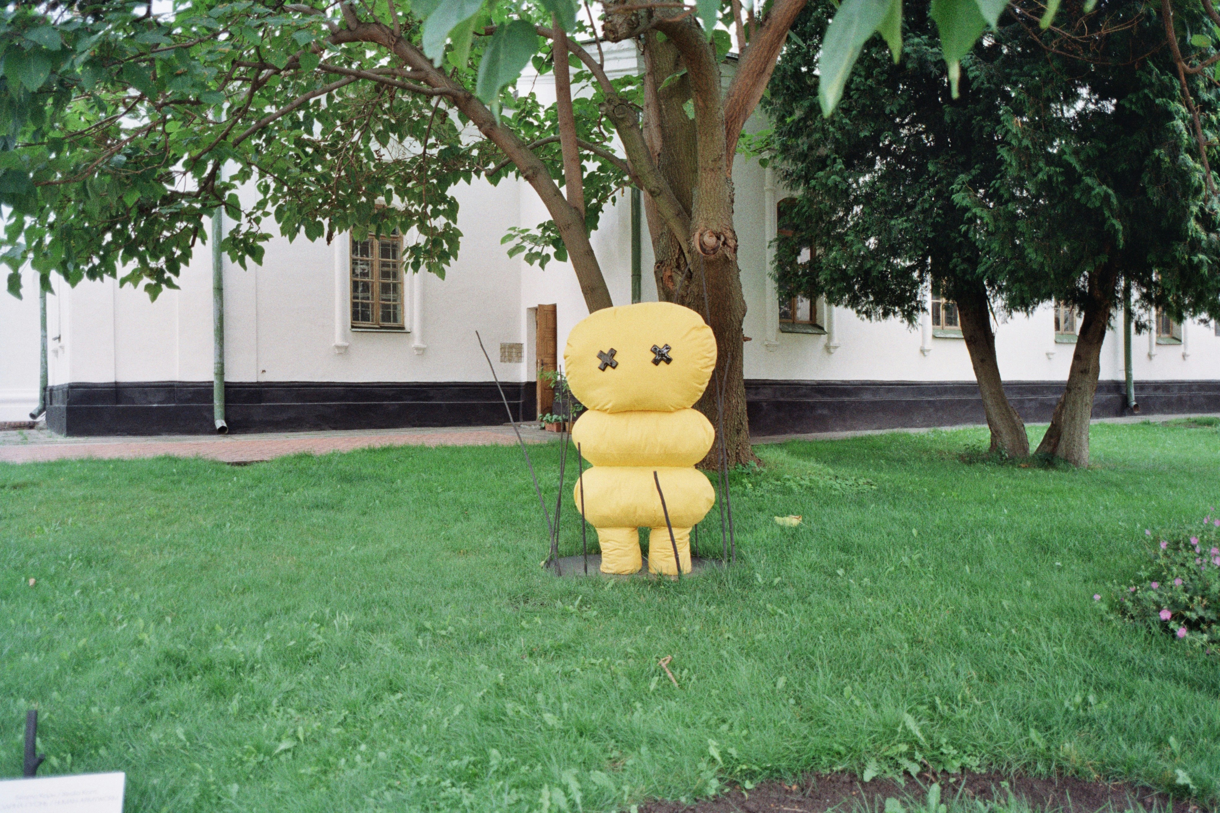 Stuffed Mascot in Grass