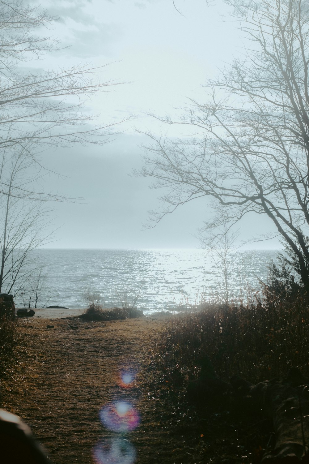 a path leading to the ocean on a cloudy day