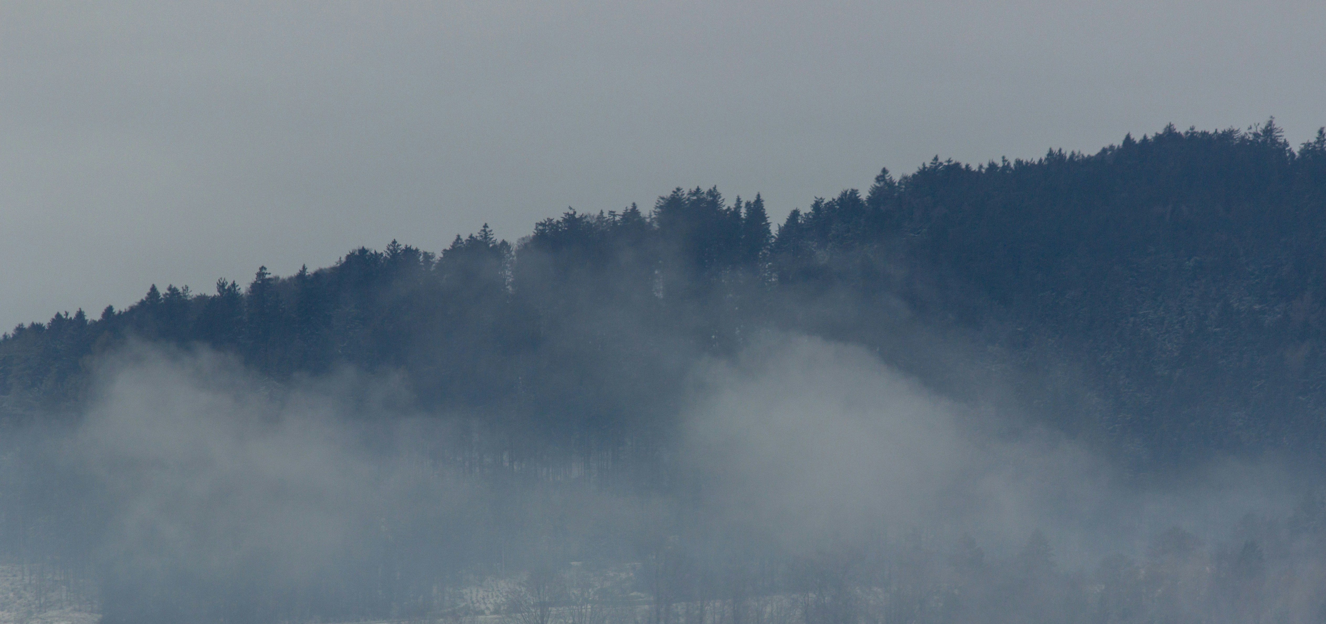 Photo by herrlechner