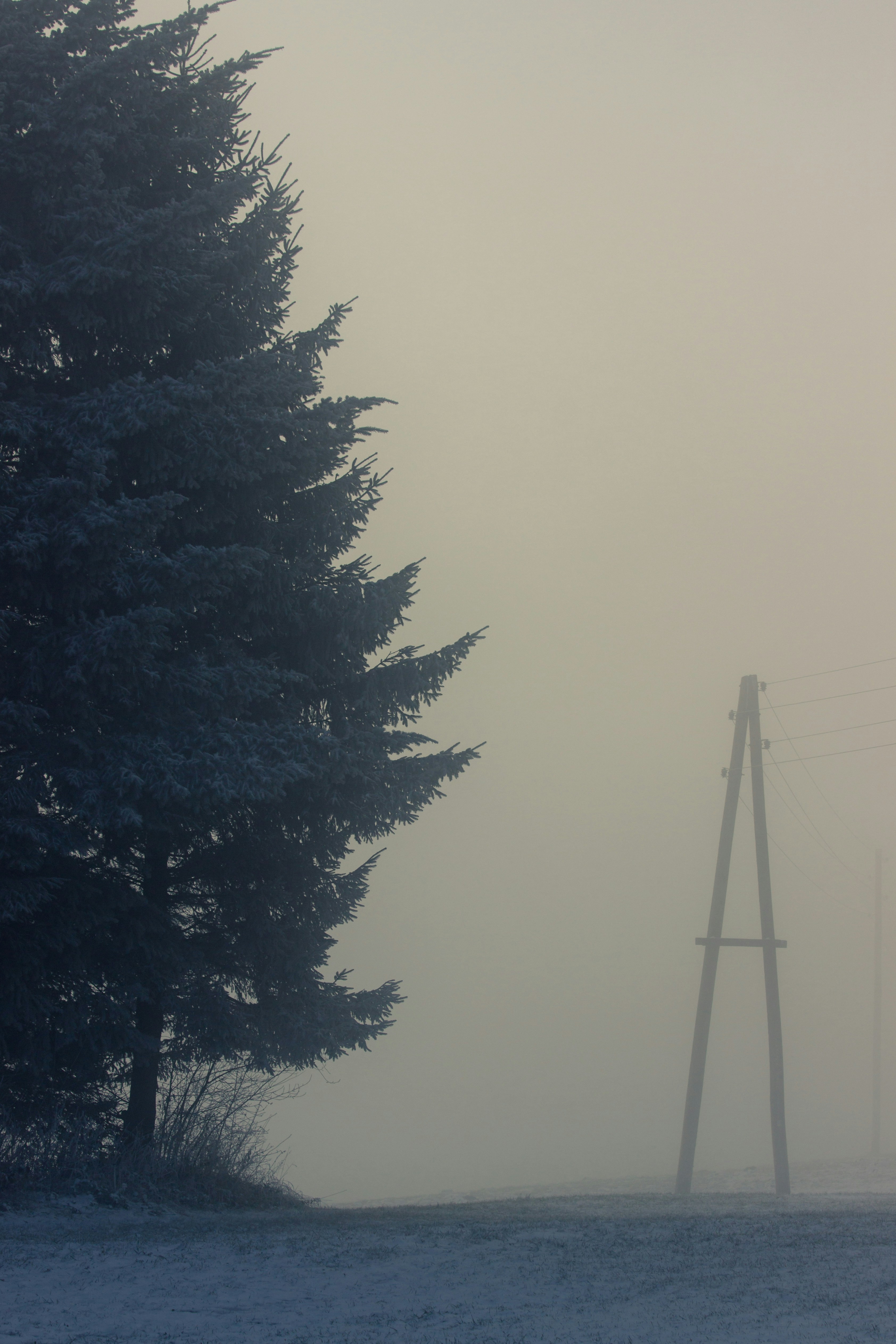 Photo by herrlechner