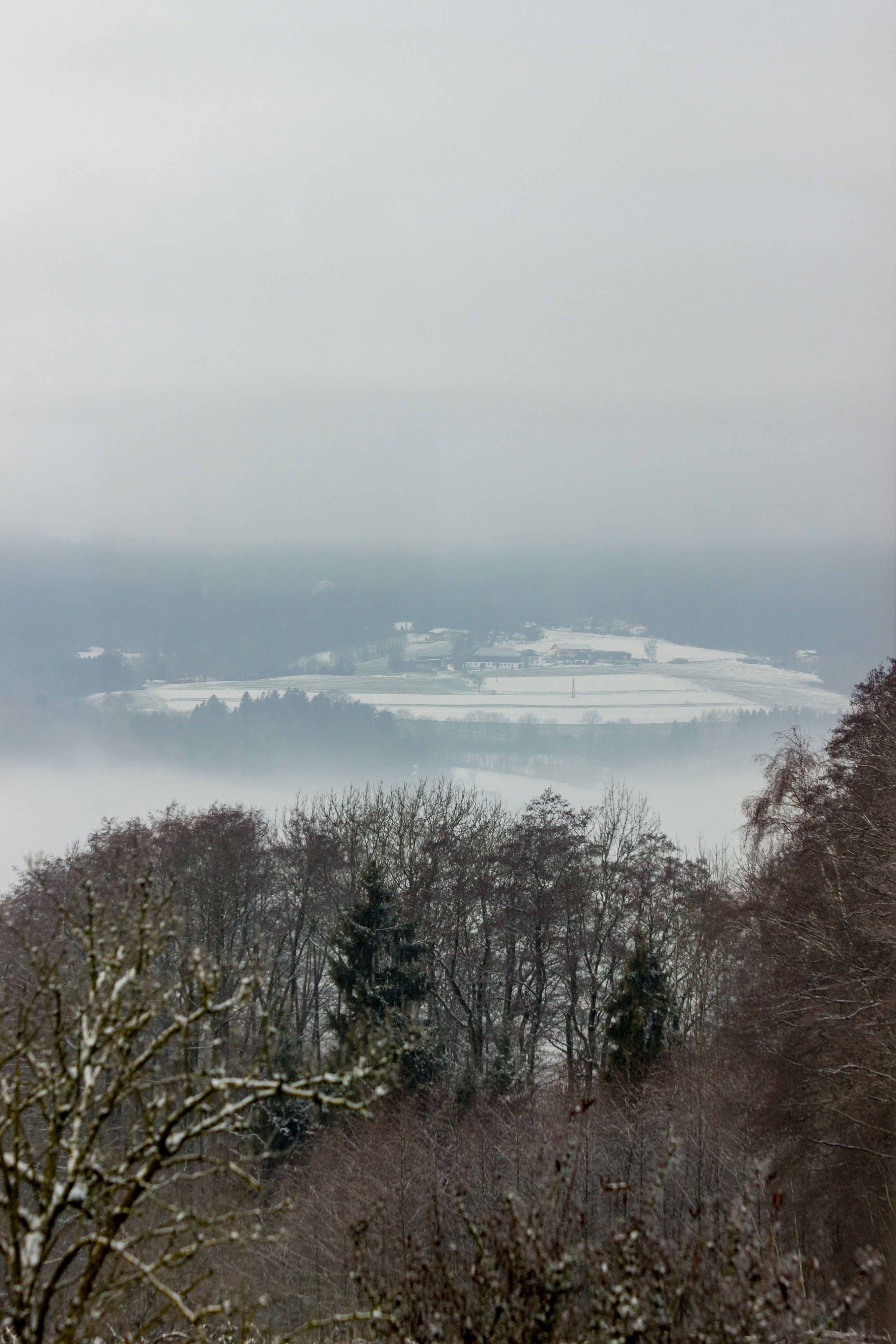 Photo by herrlechner