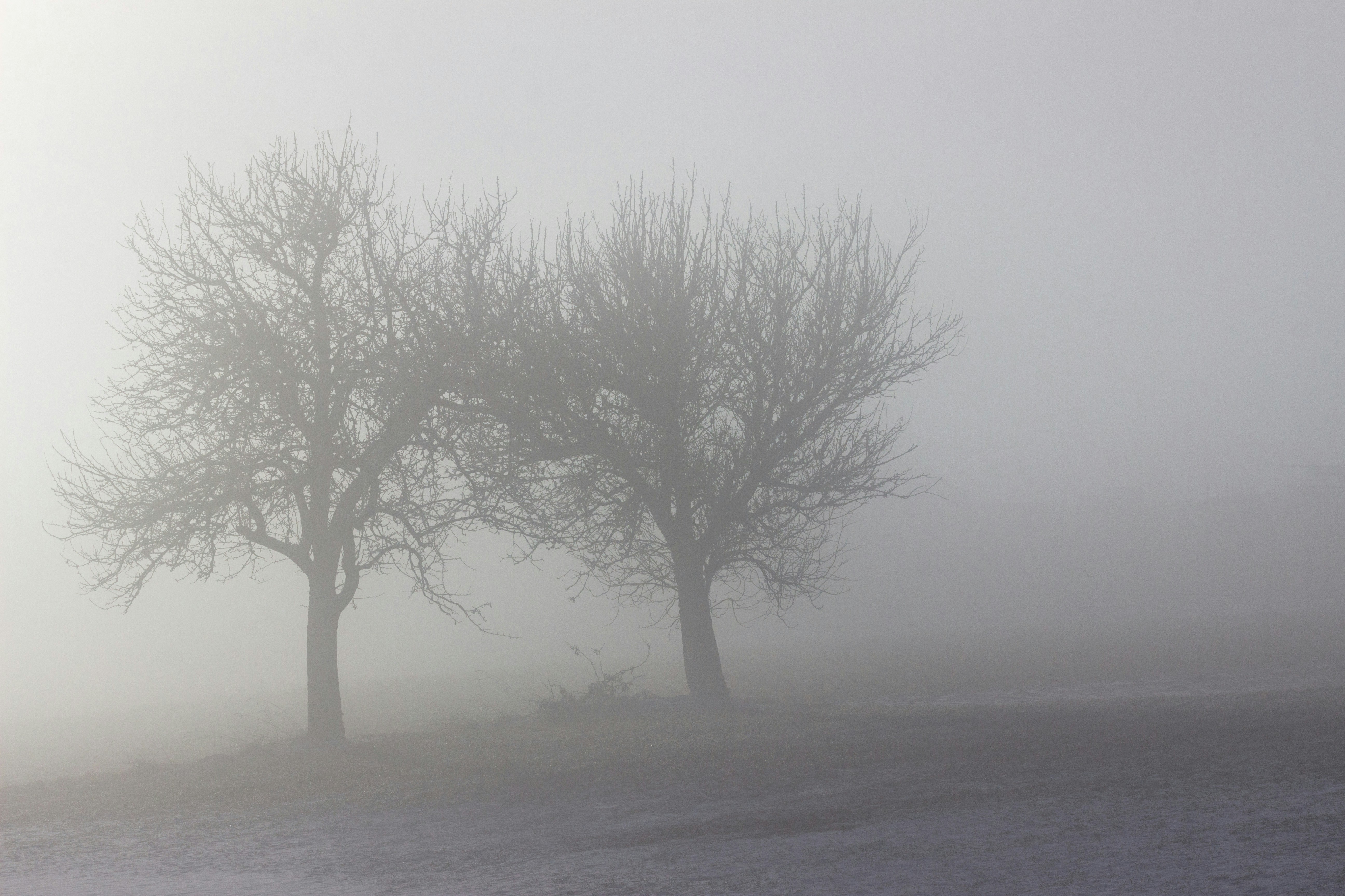 Photo by herrlechner