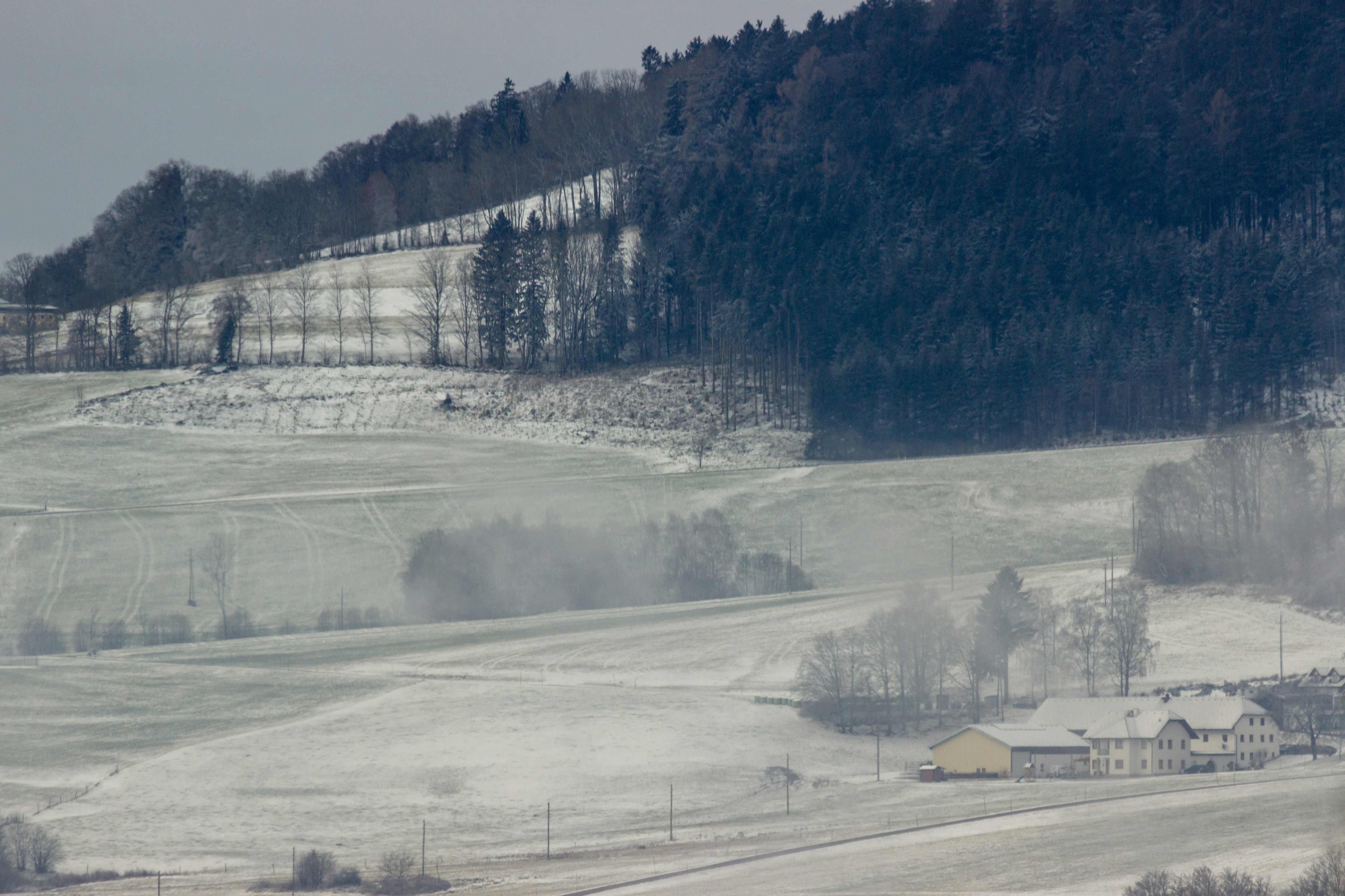 Photo by herrlechner