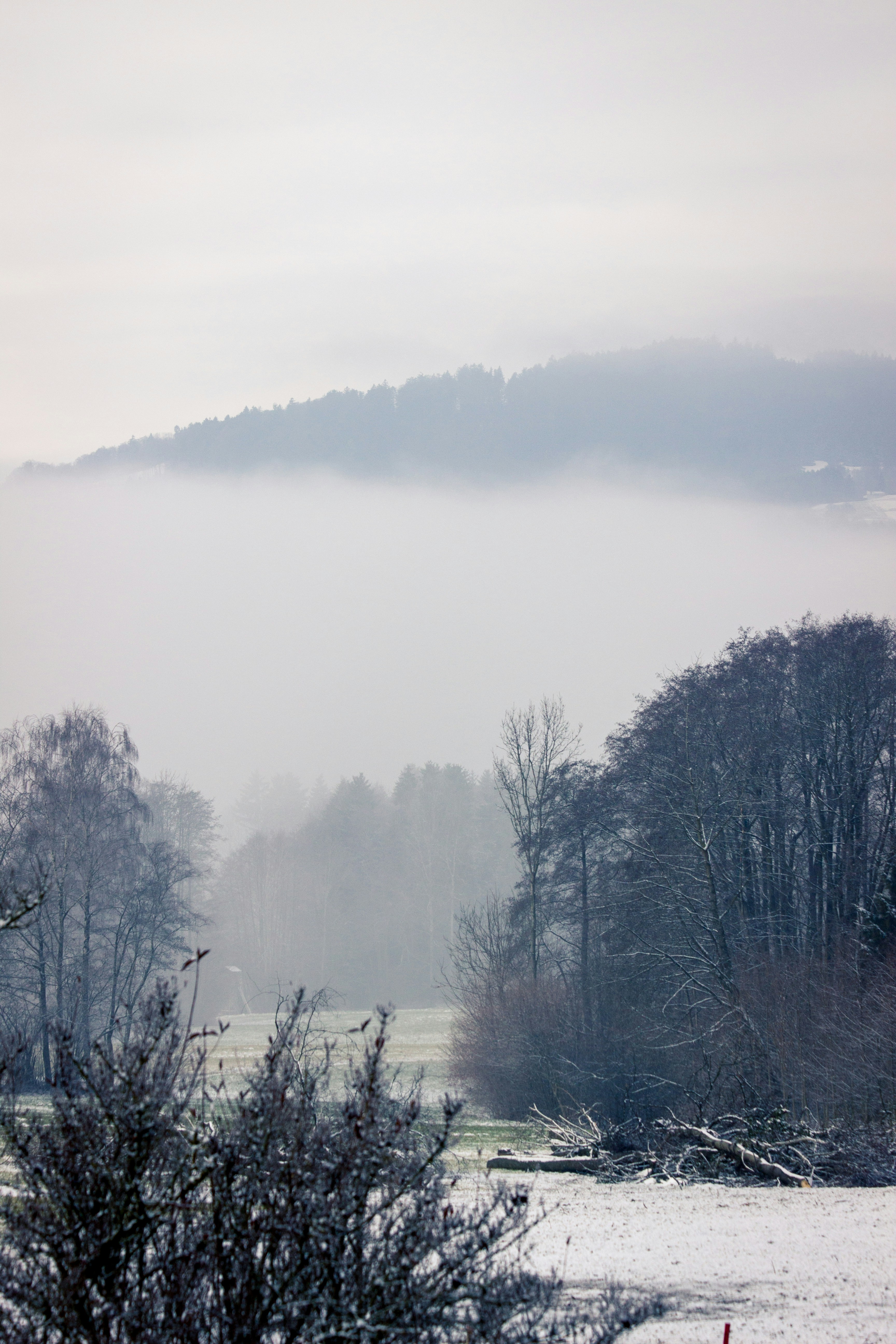 Photo by herrlechner