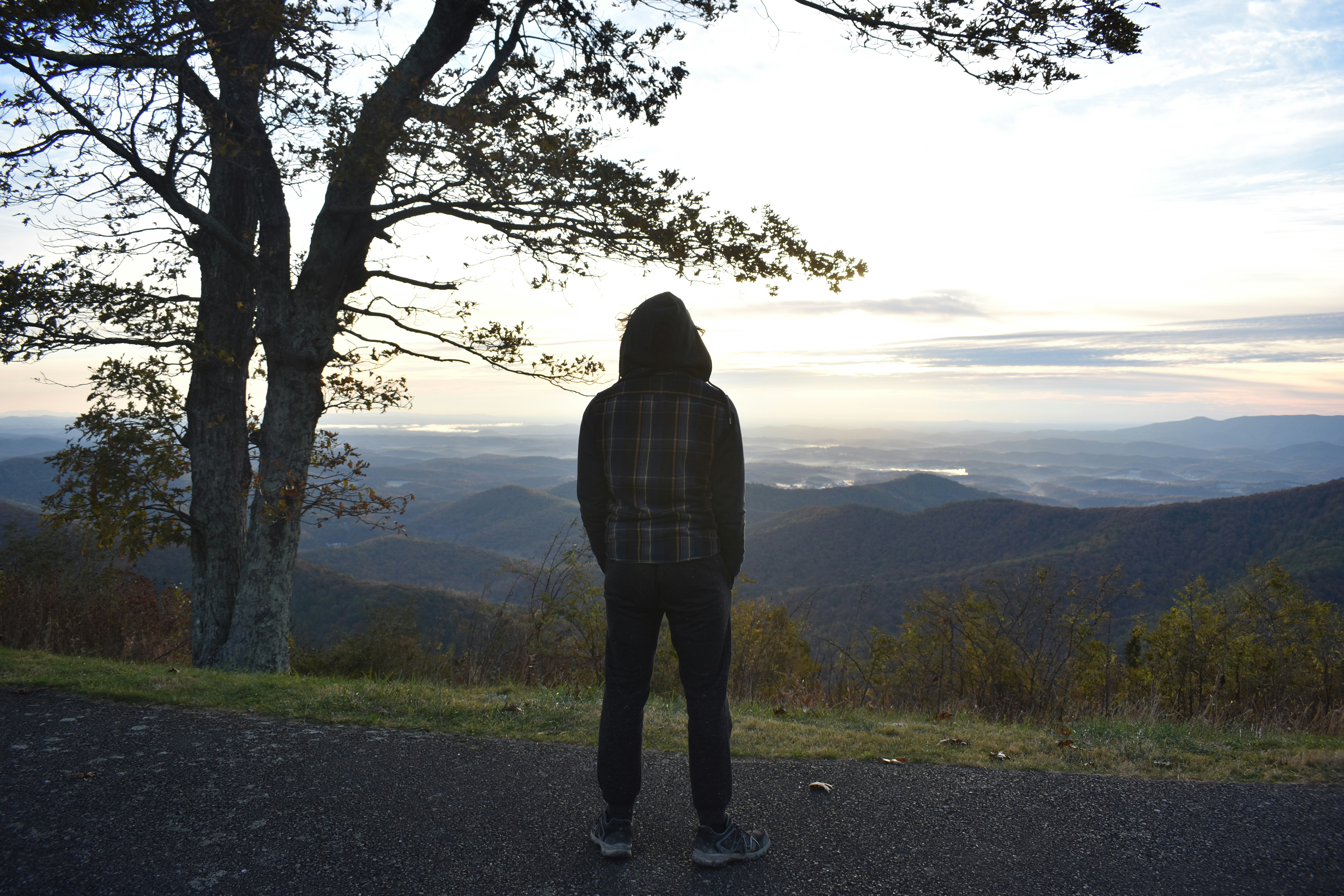 a man standing on top of a hill next to a tree, figure staring into the mountains at sunrise