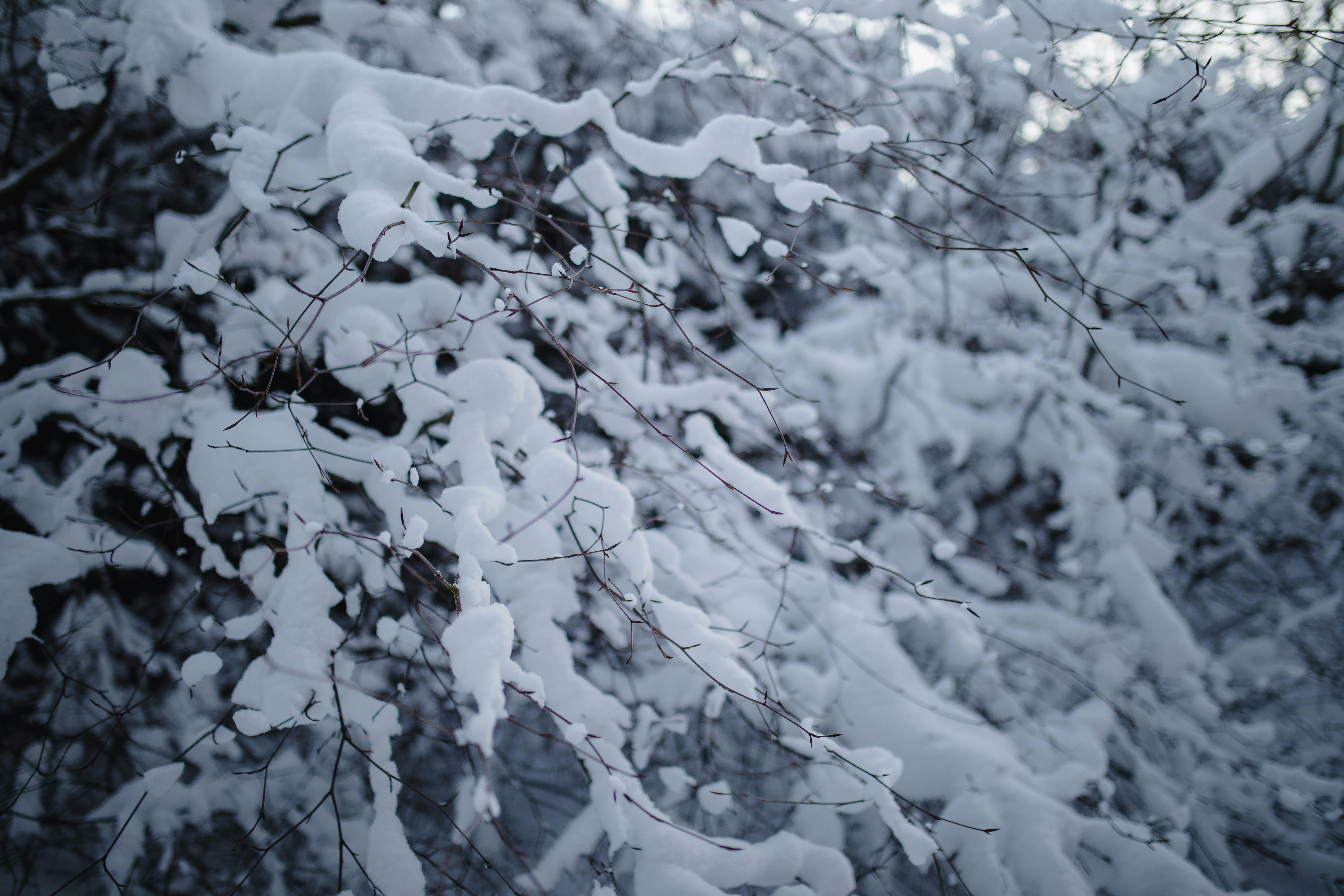 Photo by aleksandraboguslawska