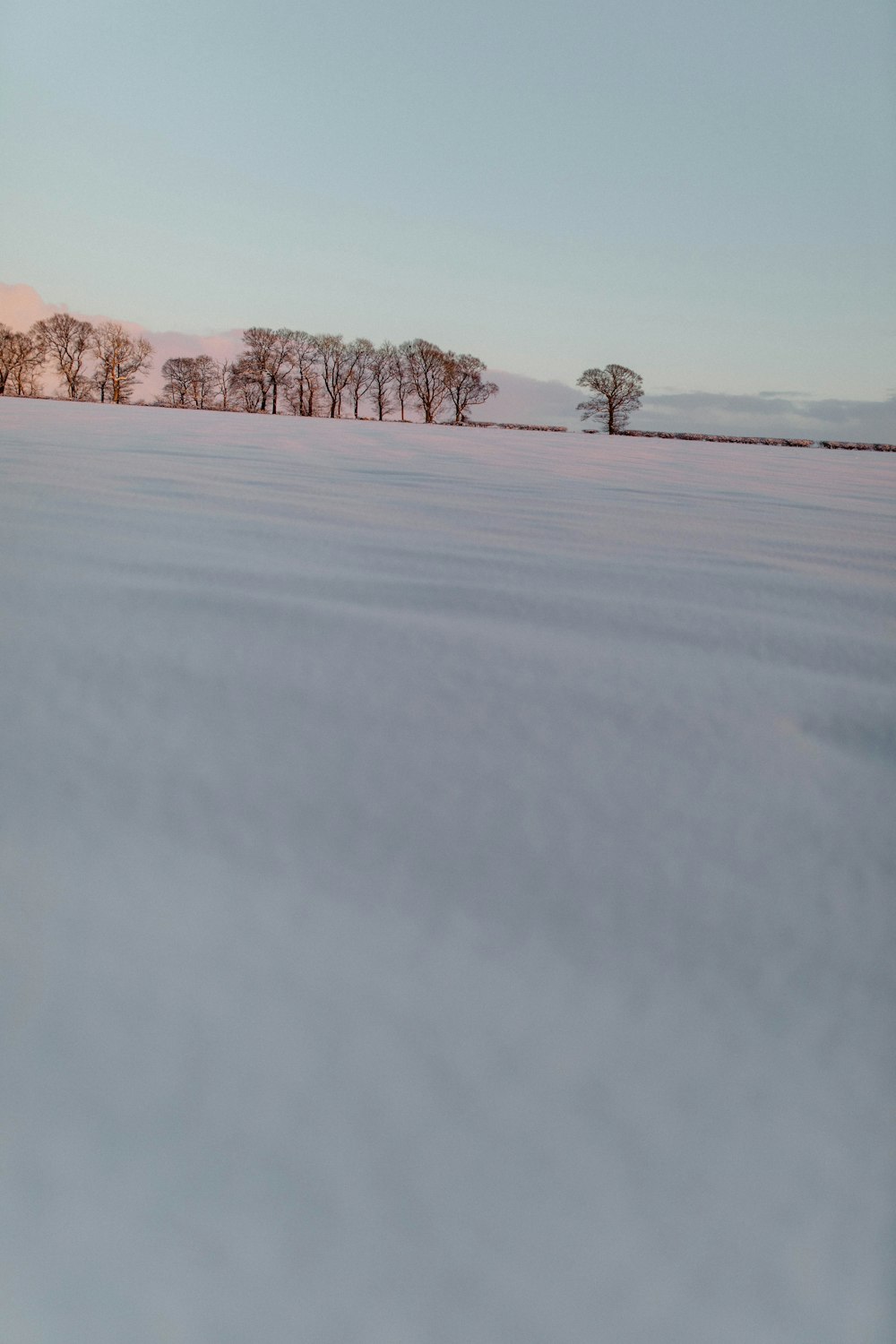 a person riding skis on a snowy surface