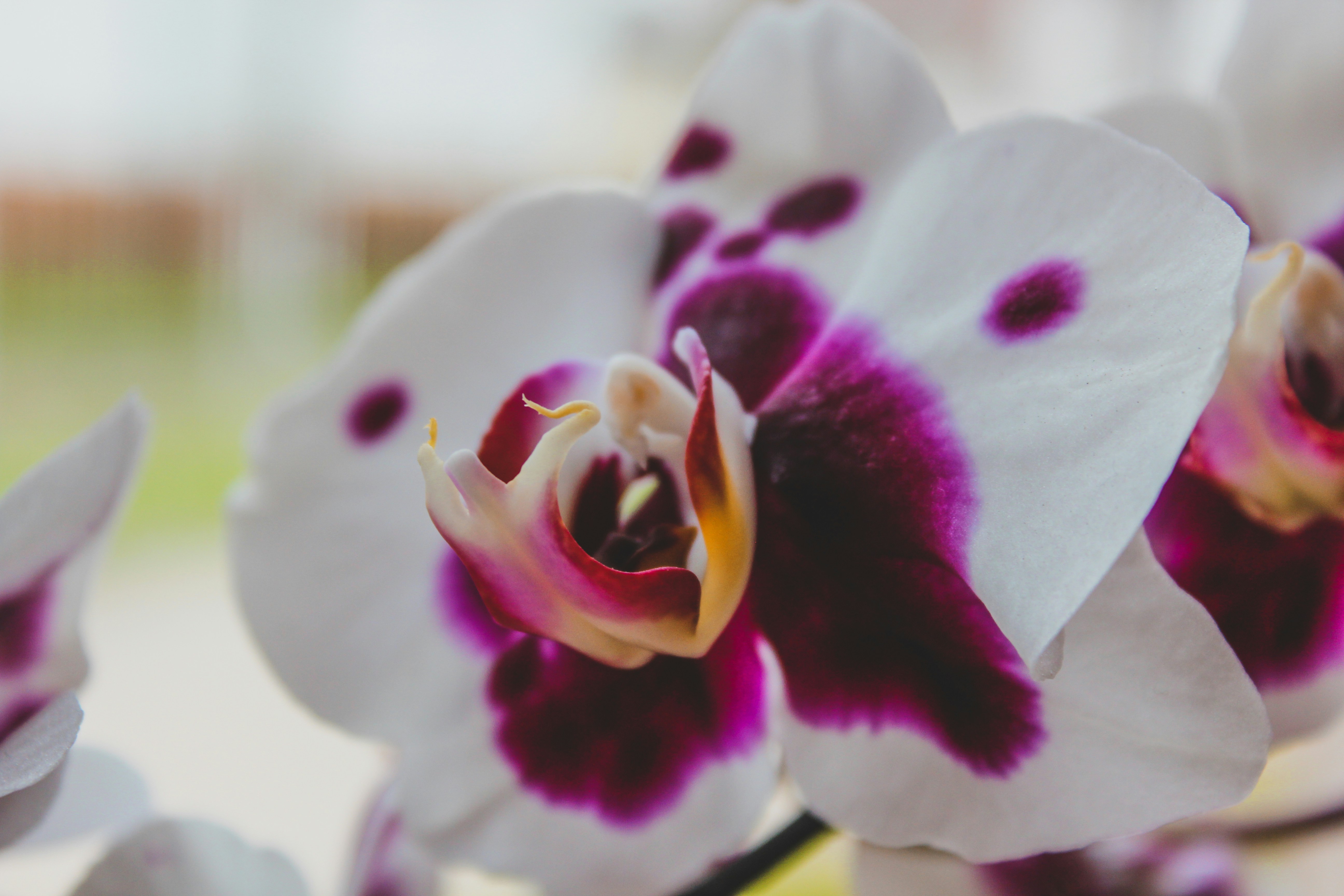 Photo by czapp_arpad