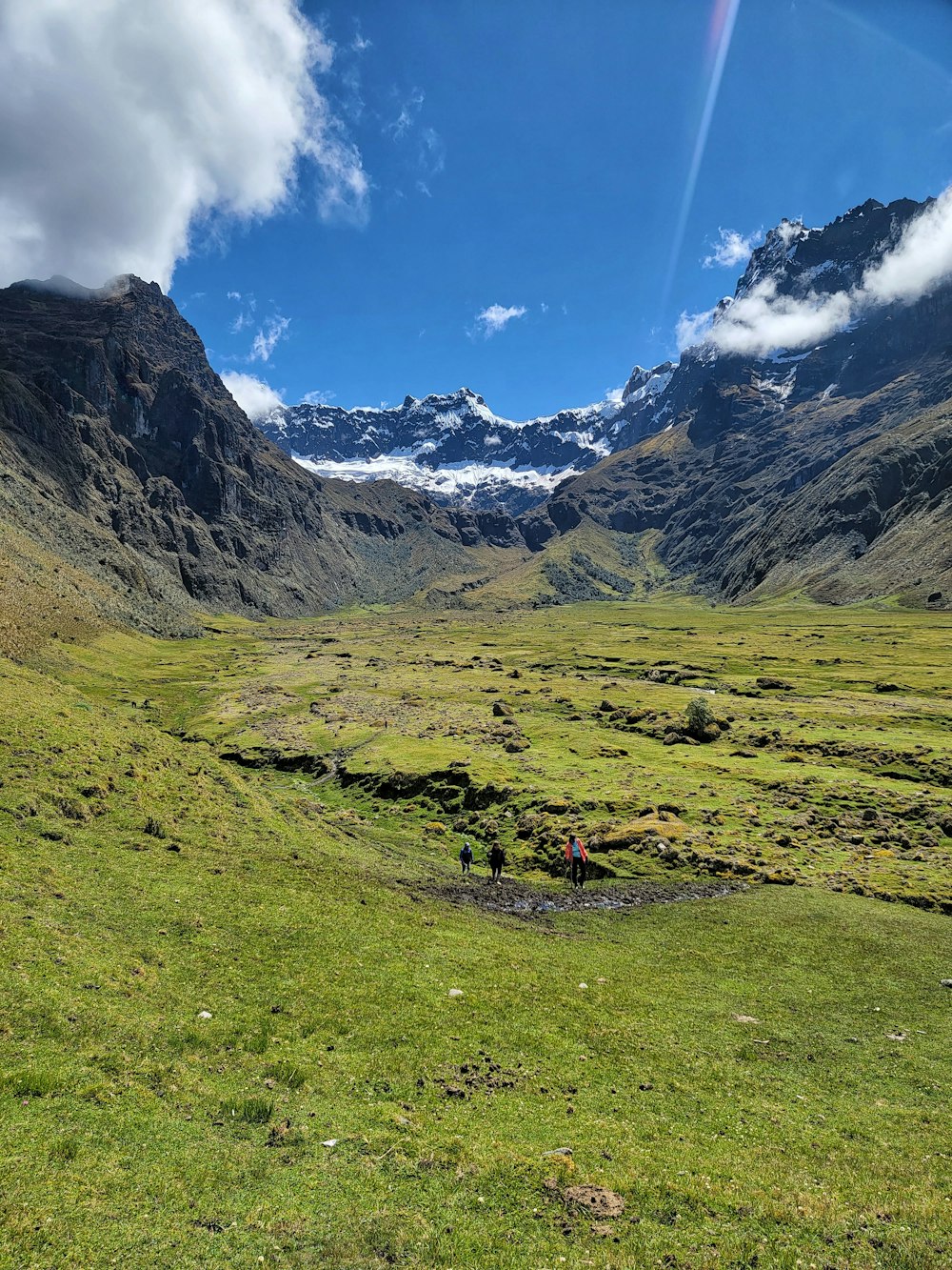 a grassy field with mountains in the background