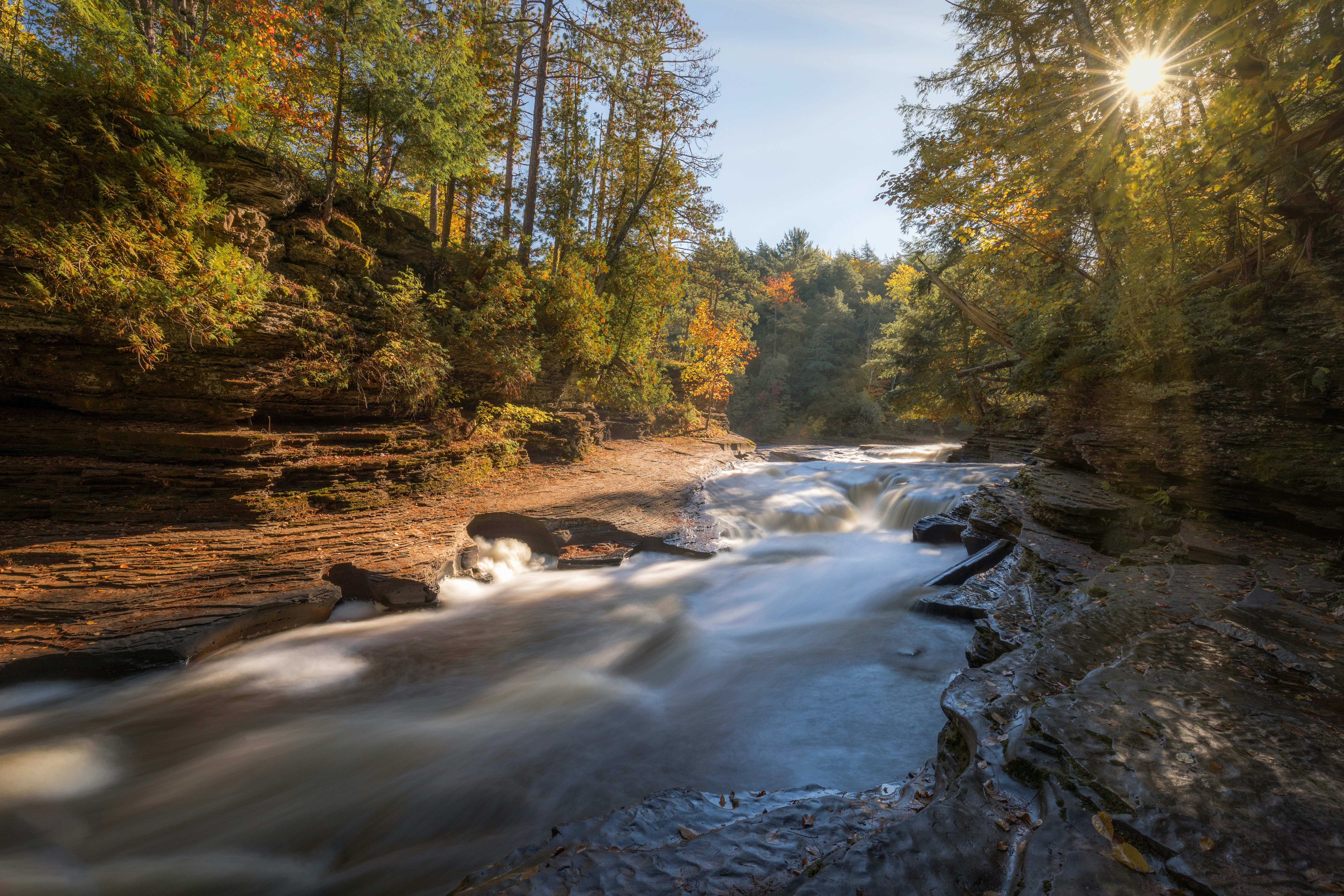 a river running through a forest filled with trees, Through the Forest