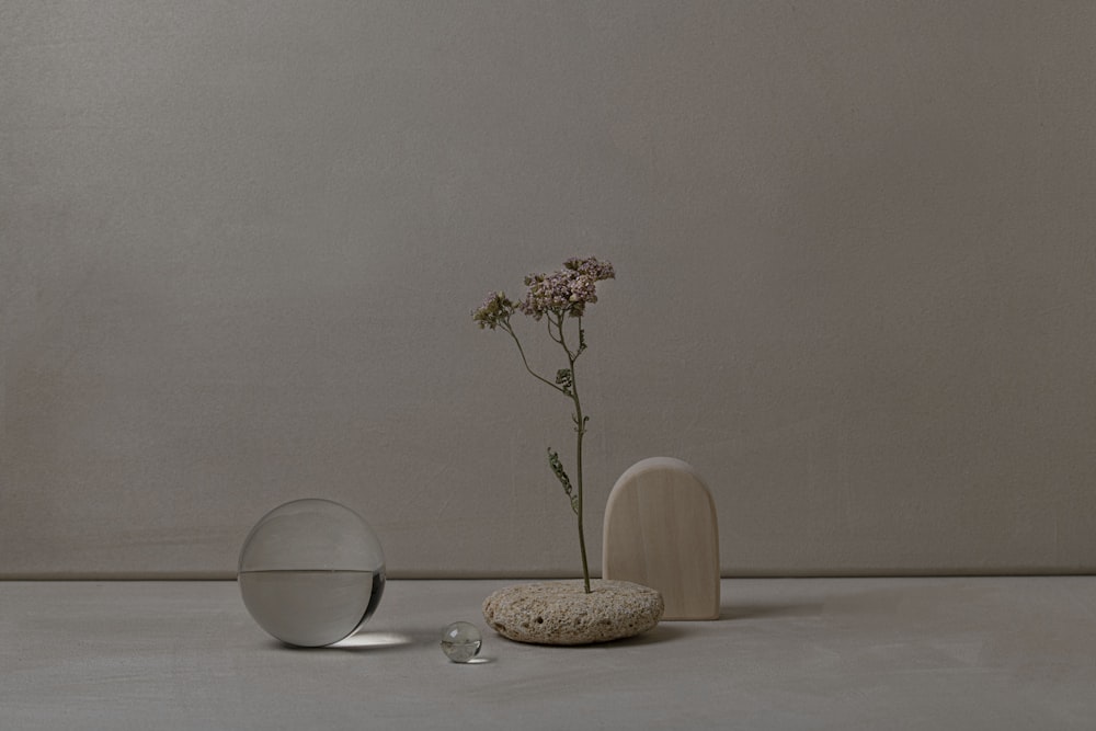 a vase with a flower in it next to a rock