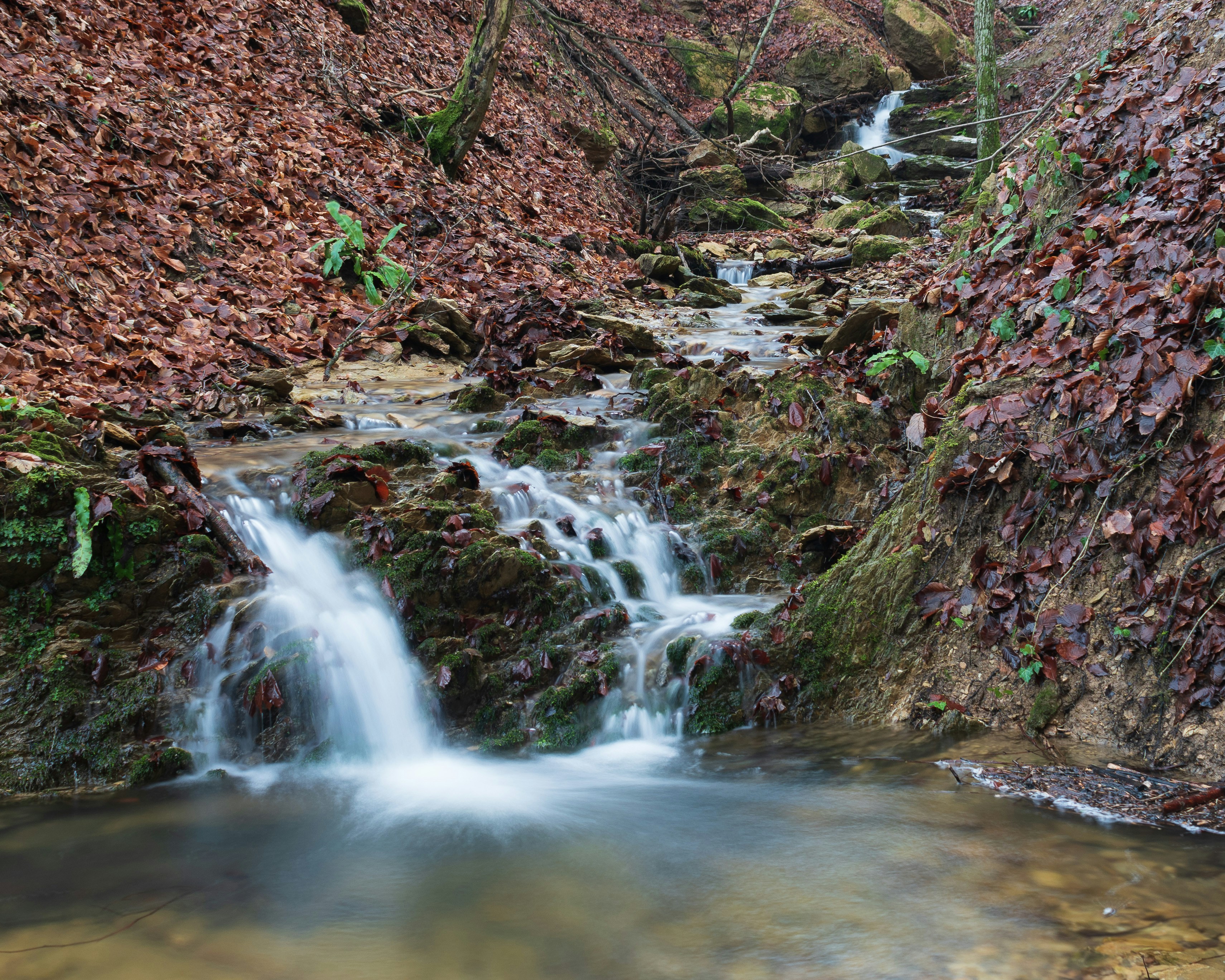 Photo by vjeblackbirdlion