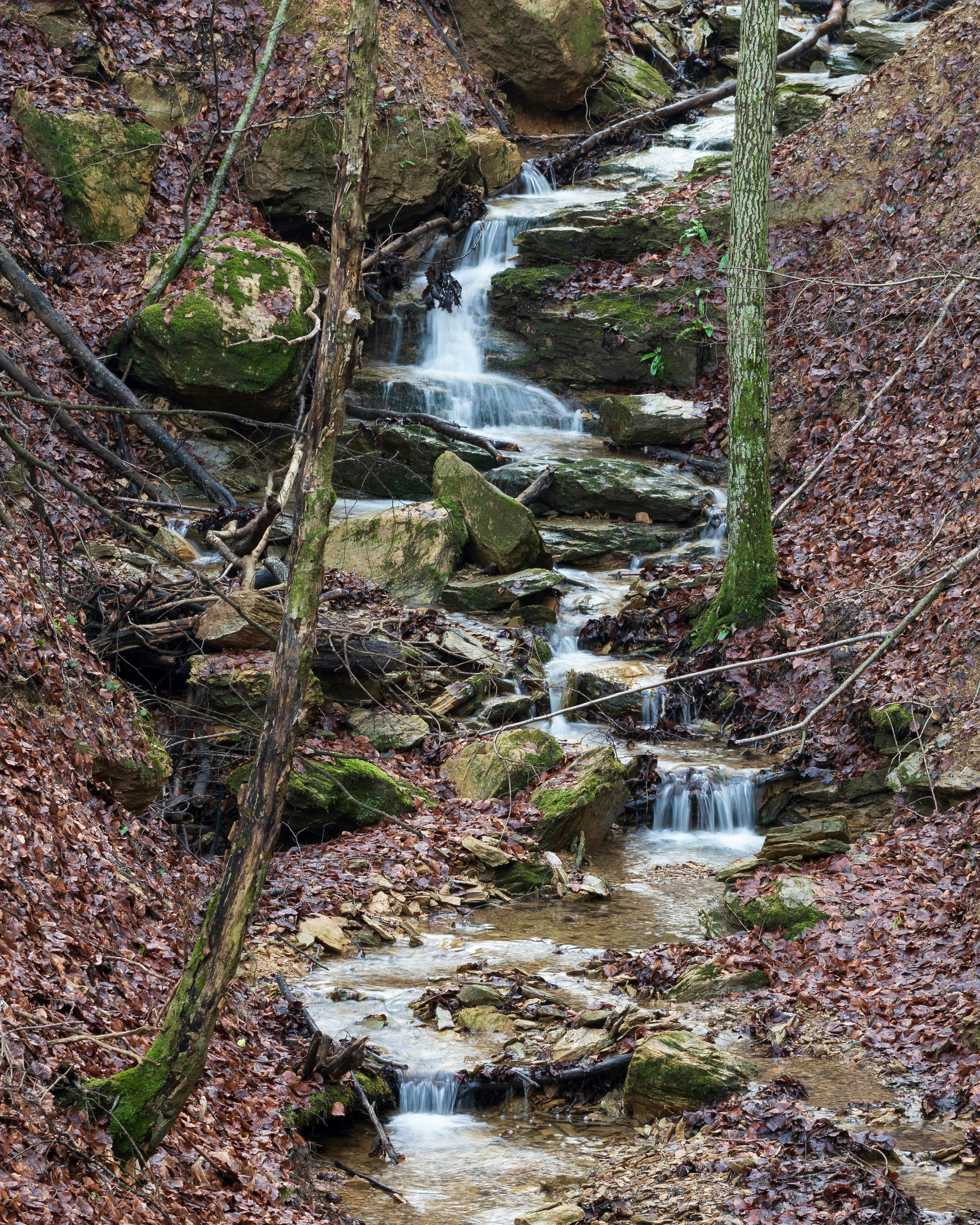 Photo by vjeblackbirdlion