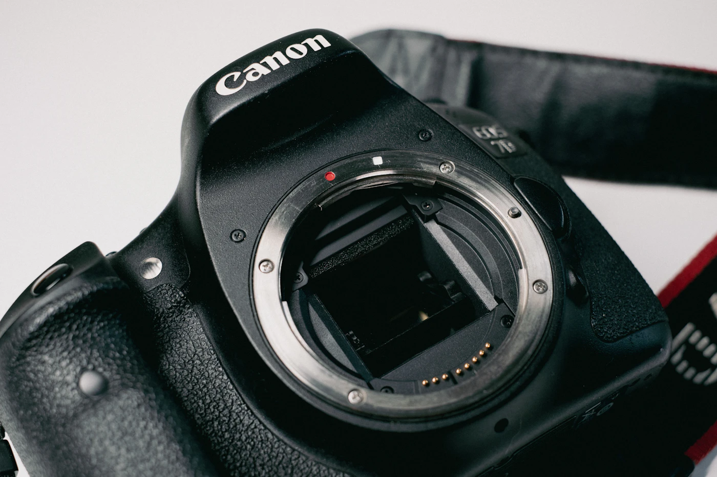 A Canon DSLR with its lens removed: inside the mount you can see the angled mirror, with gold electrical contacts at the bottom of the mount ring