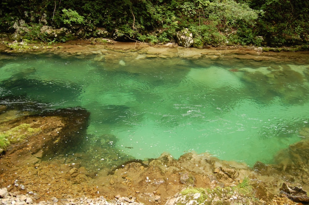 a body of water surrounded by trees and rocks