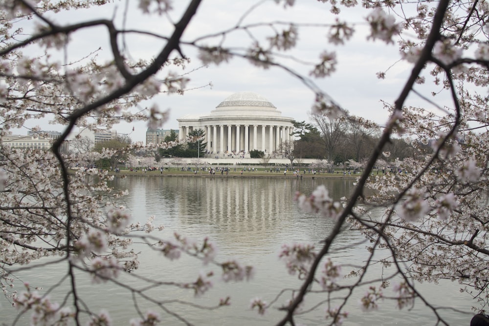 a view of the jefferson memorial from across the lake