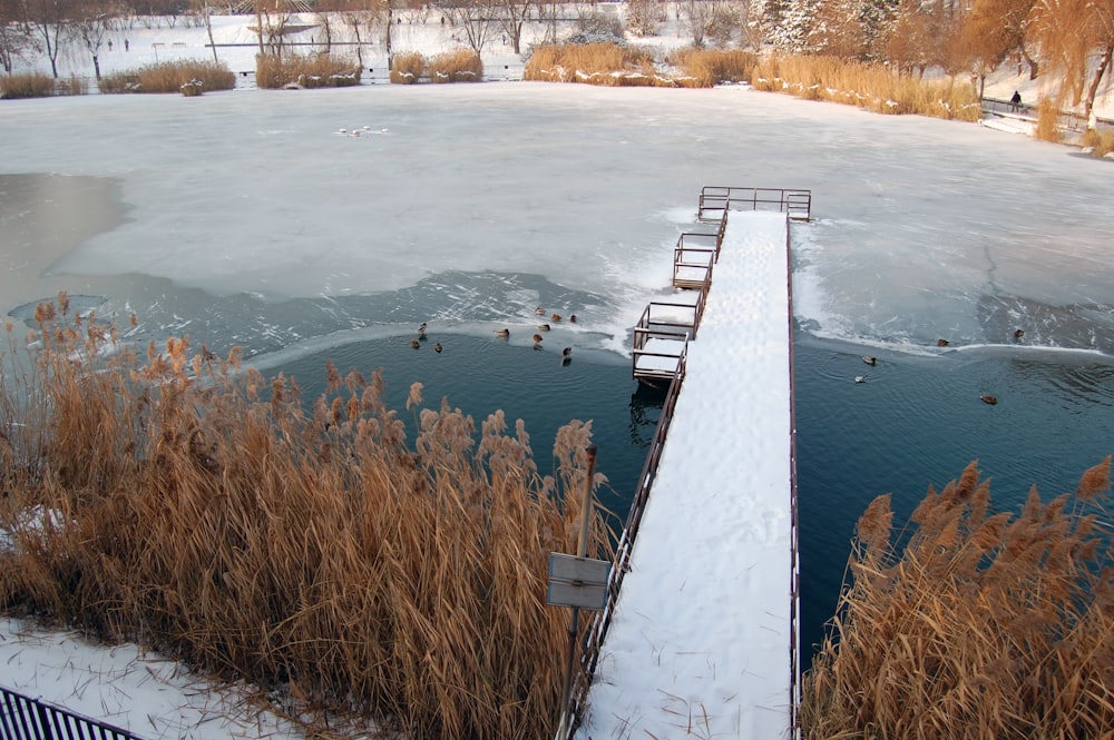 a frozen lake with a dock and ducks in the water