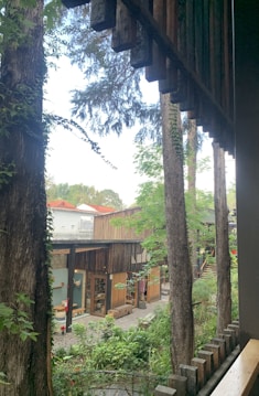 A serene outdoor setting featuring rustic wooden structures surrounded by tall trees and lush greenery. The architecture includes wooden beams and open spaces, likely part of a small complex or community area. Large trees and plants create a peaceful and secluded atmosphere.